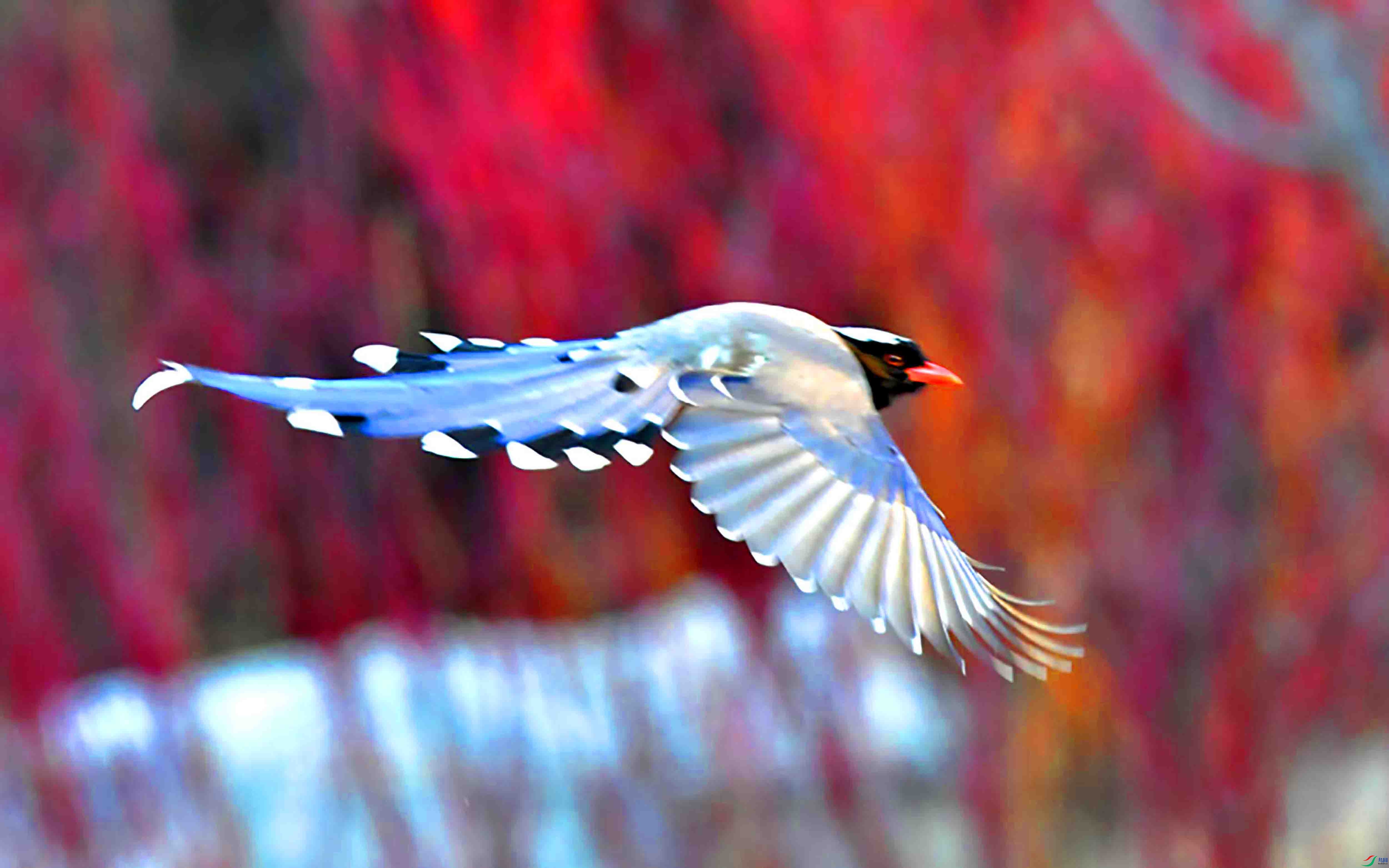 Copy2_DSC_7391.JPG