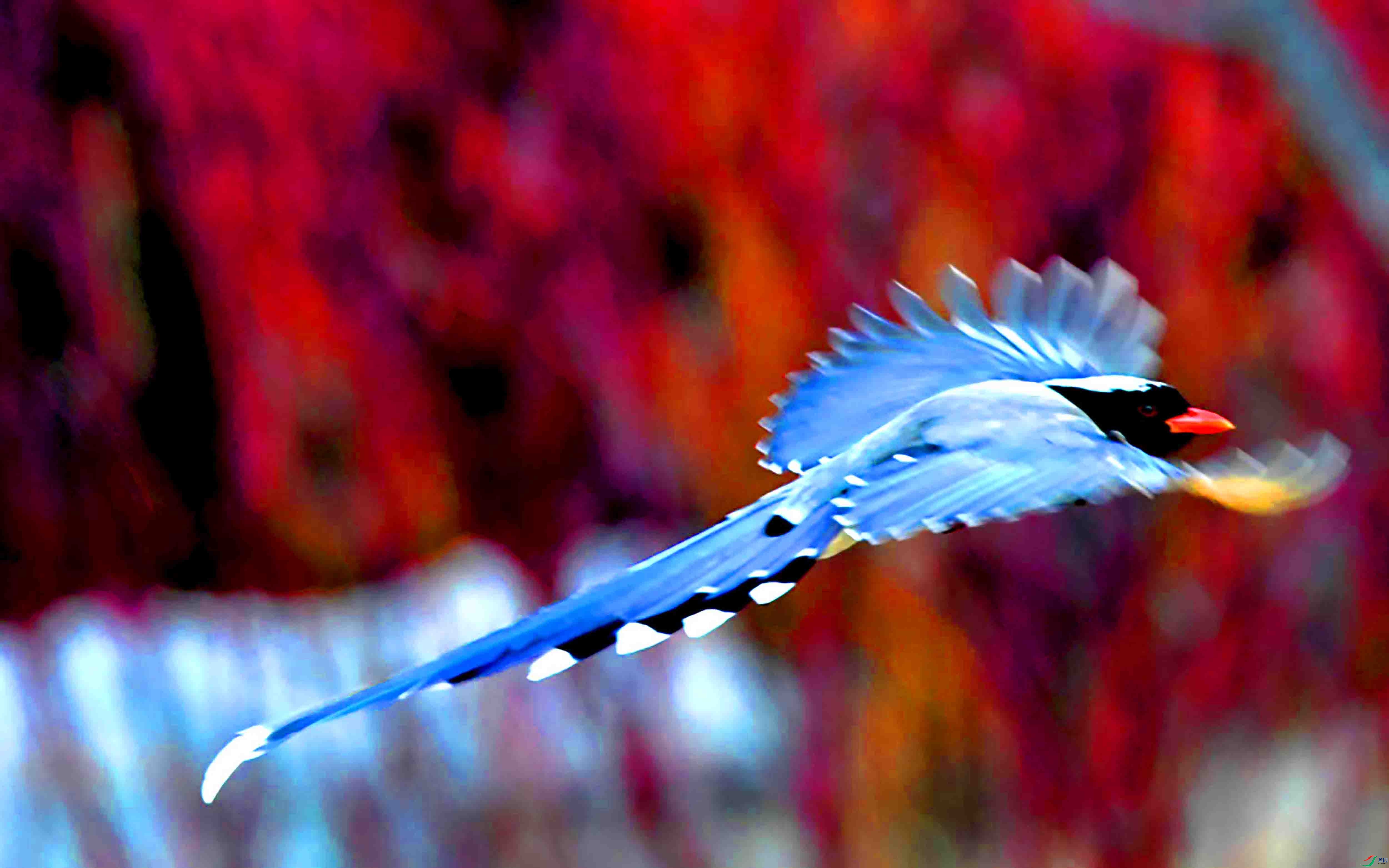 Copy2_DSC_7392.JPG