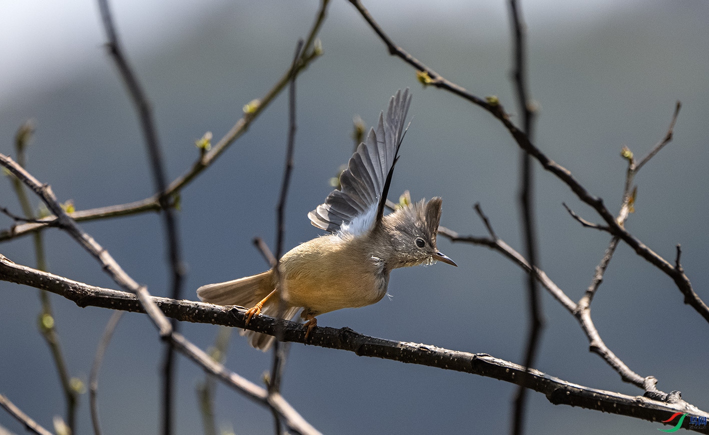 DSC_1940 ����.jpg