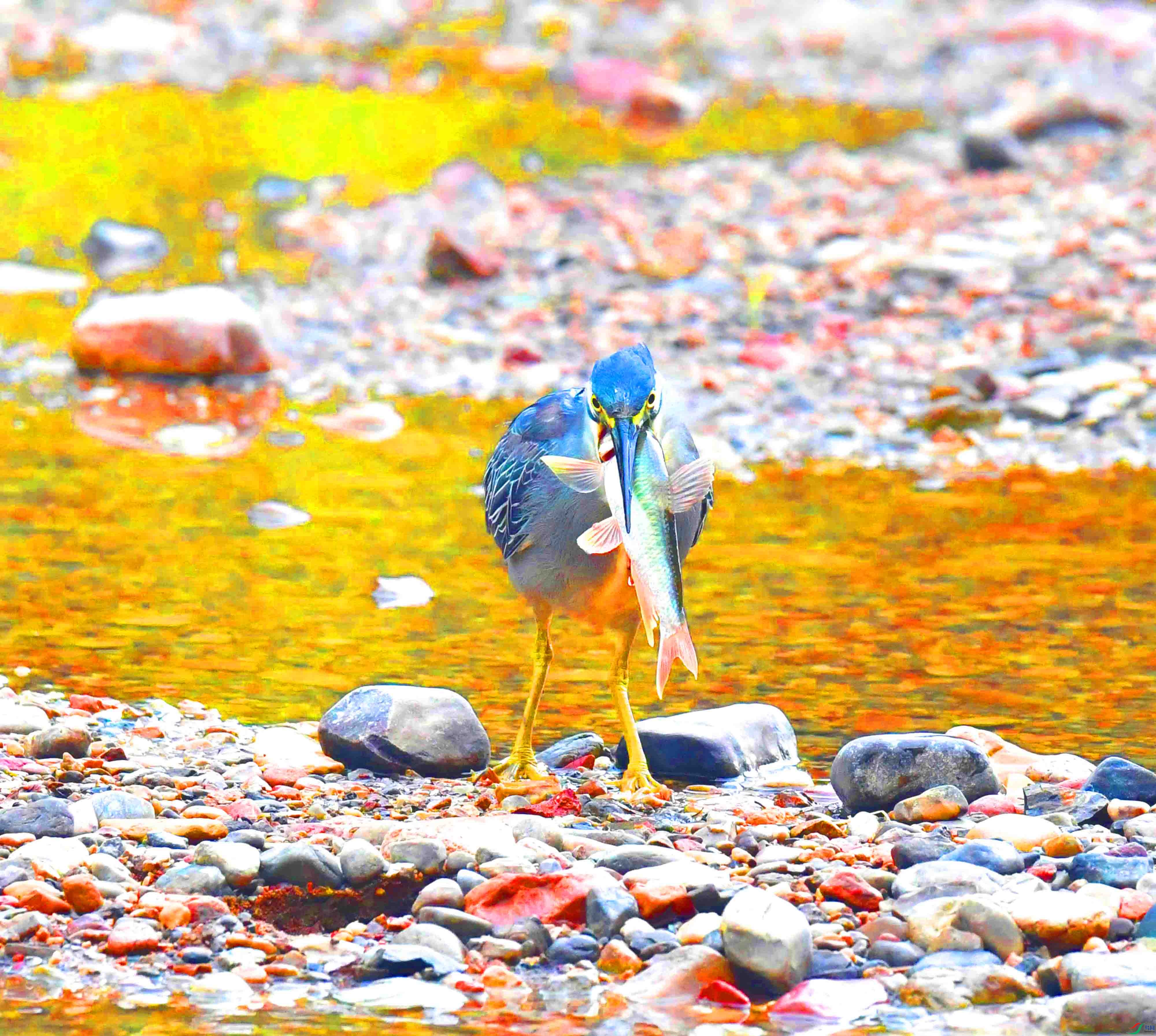 DSC_0686.JPG