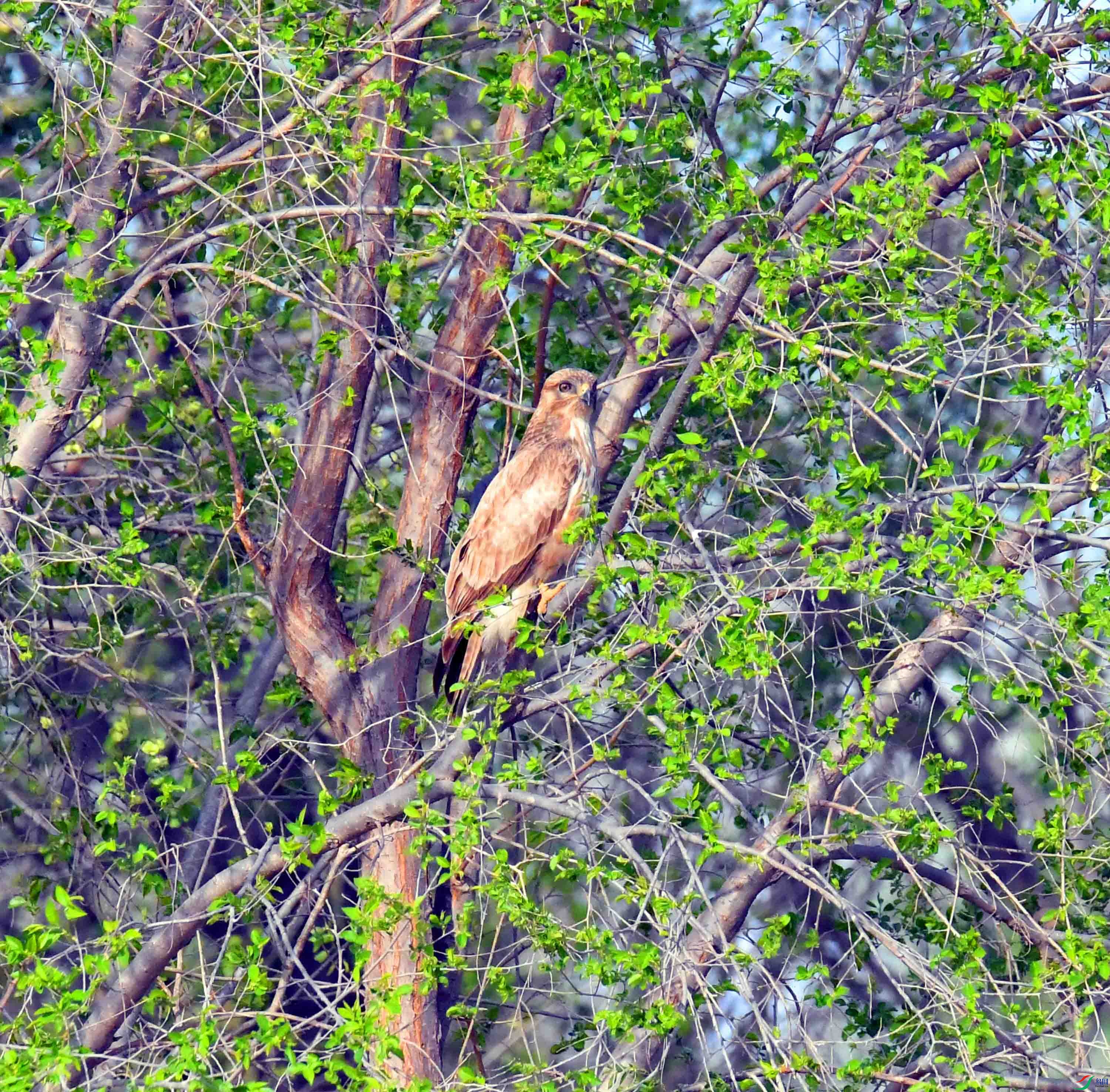 DSC_2475.JPG