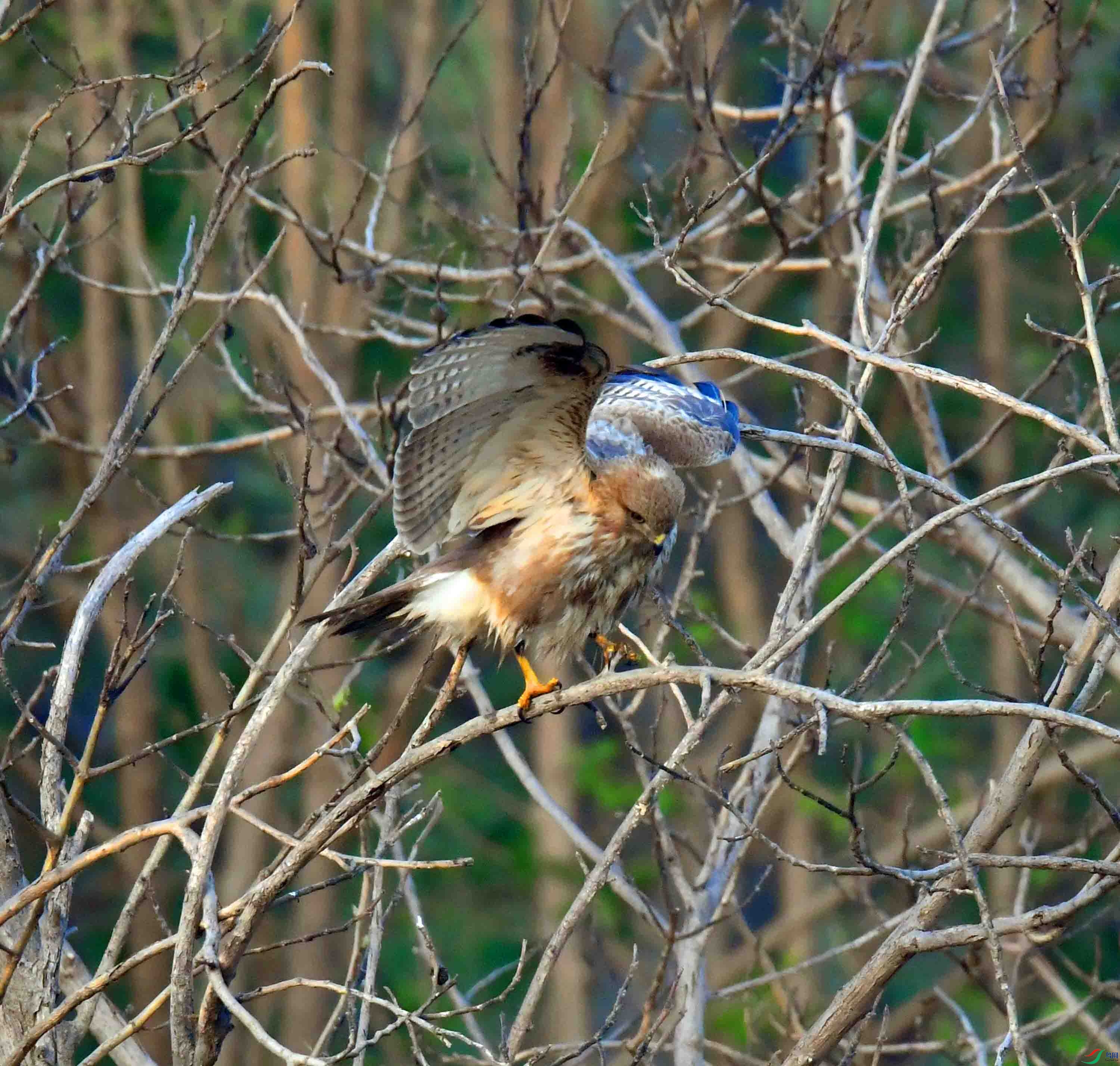 DSC_2649.JPG