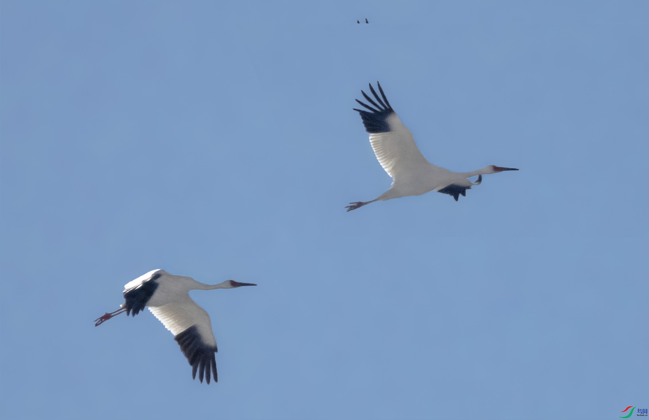 DSC01776_1.jpg