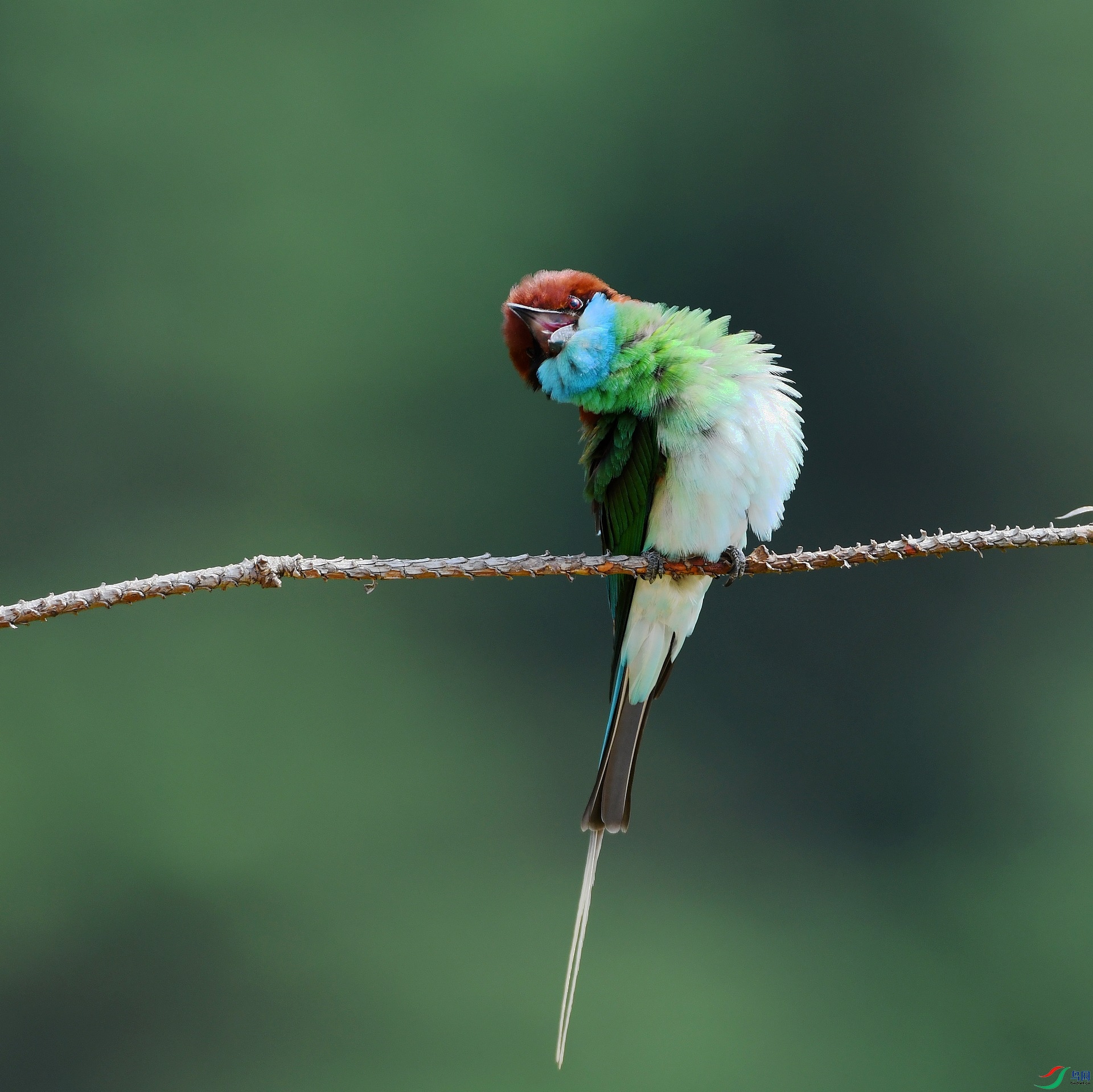 DSC_8741.jpg