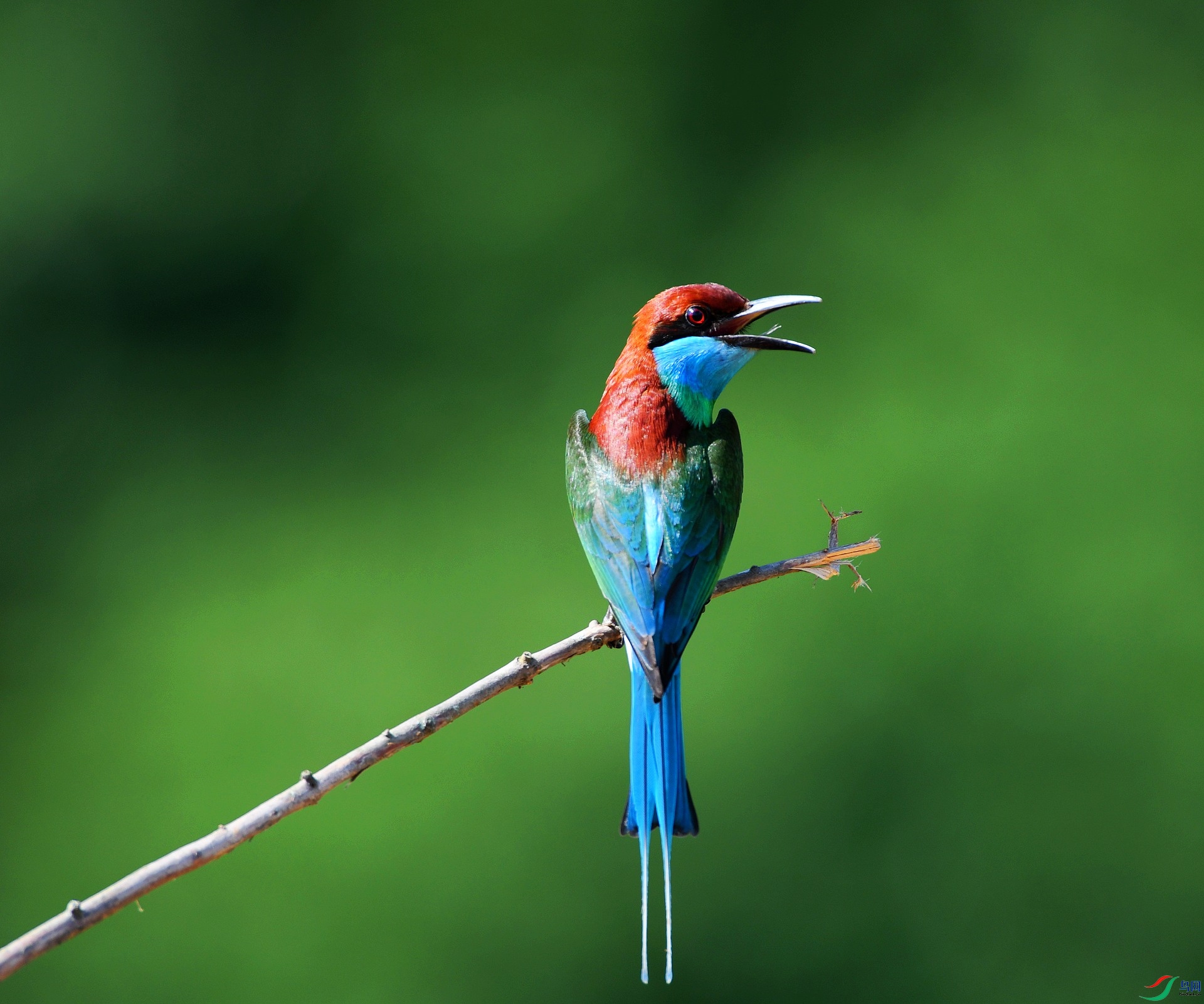 DSC_6903.jpg