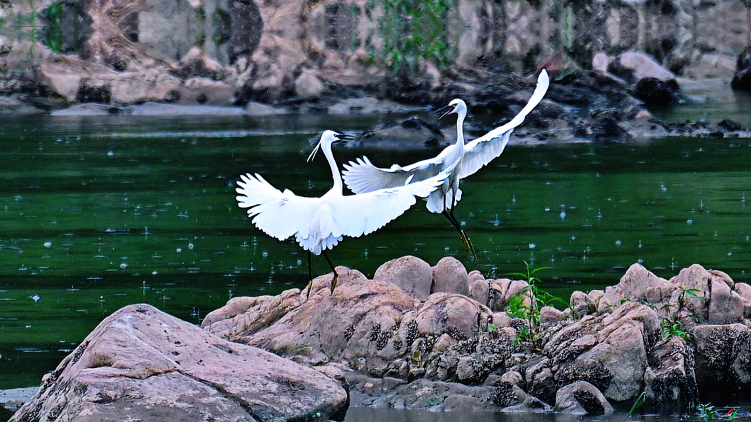 ���еĽ���