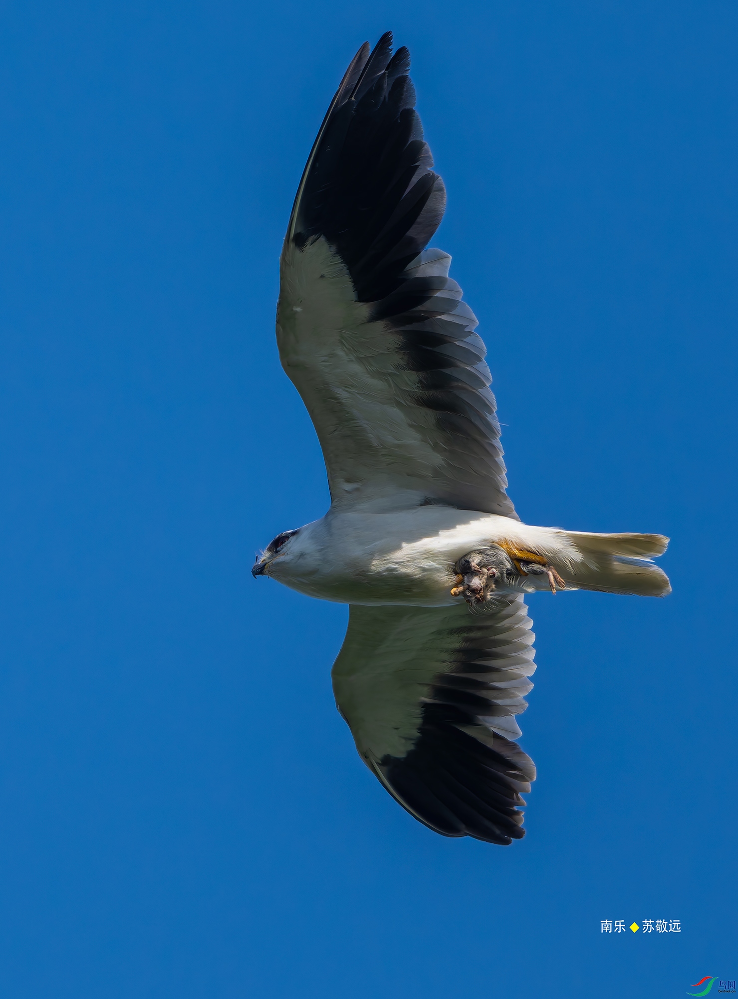 20250428-_DSC0539С.jpg