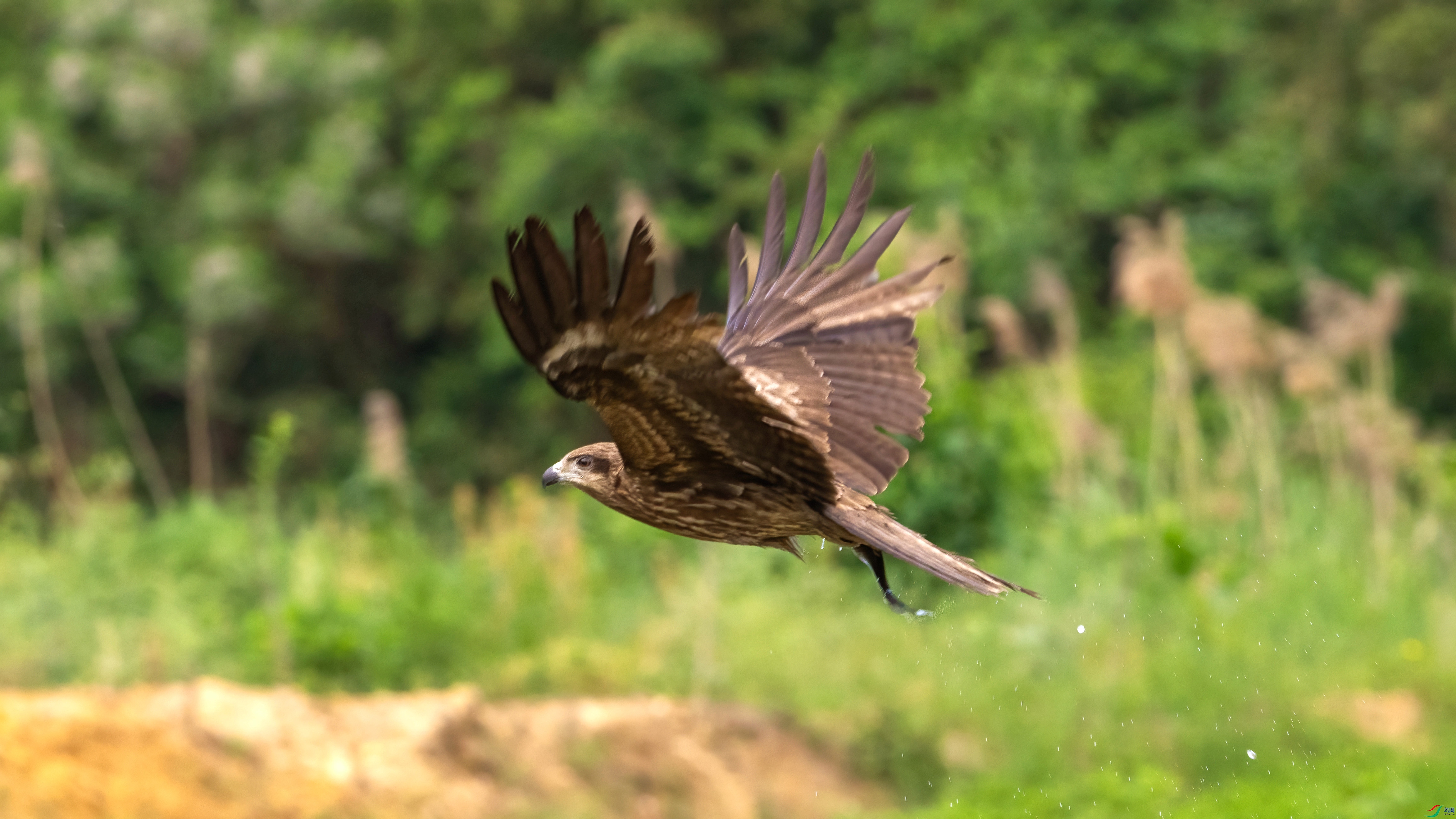 DSC_3280.jpg