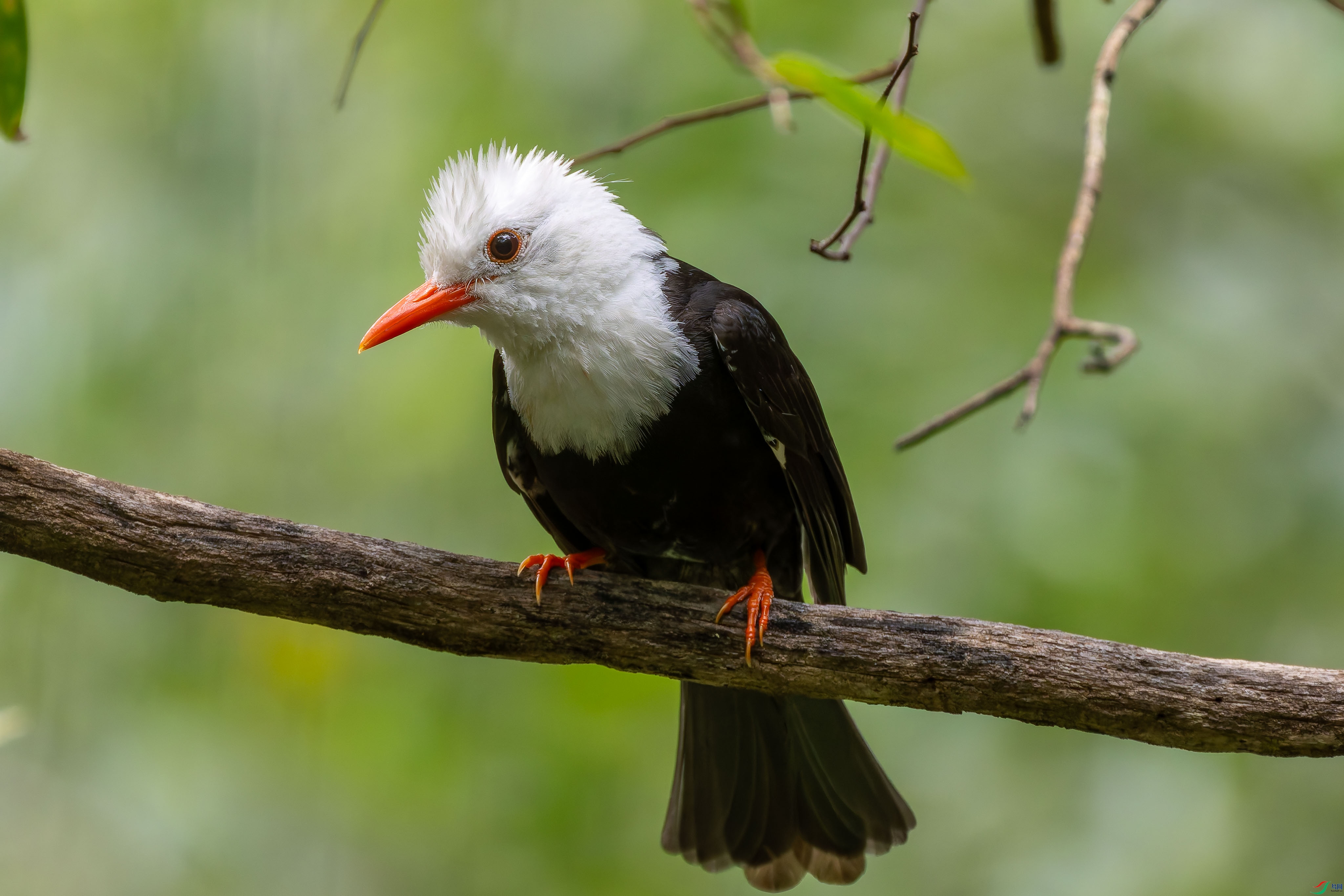 0U9A5802-DxO_DeepPRIME XD2s_XD_1.jpg