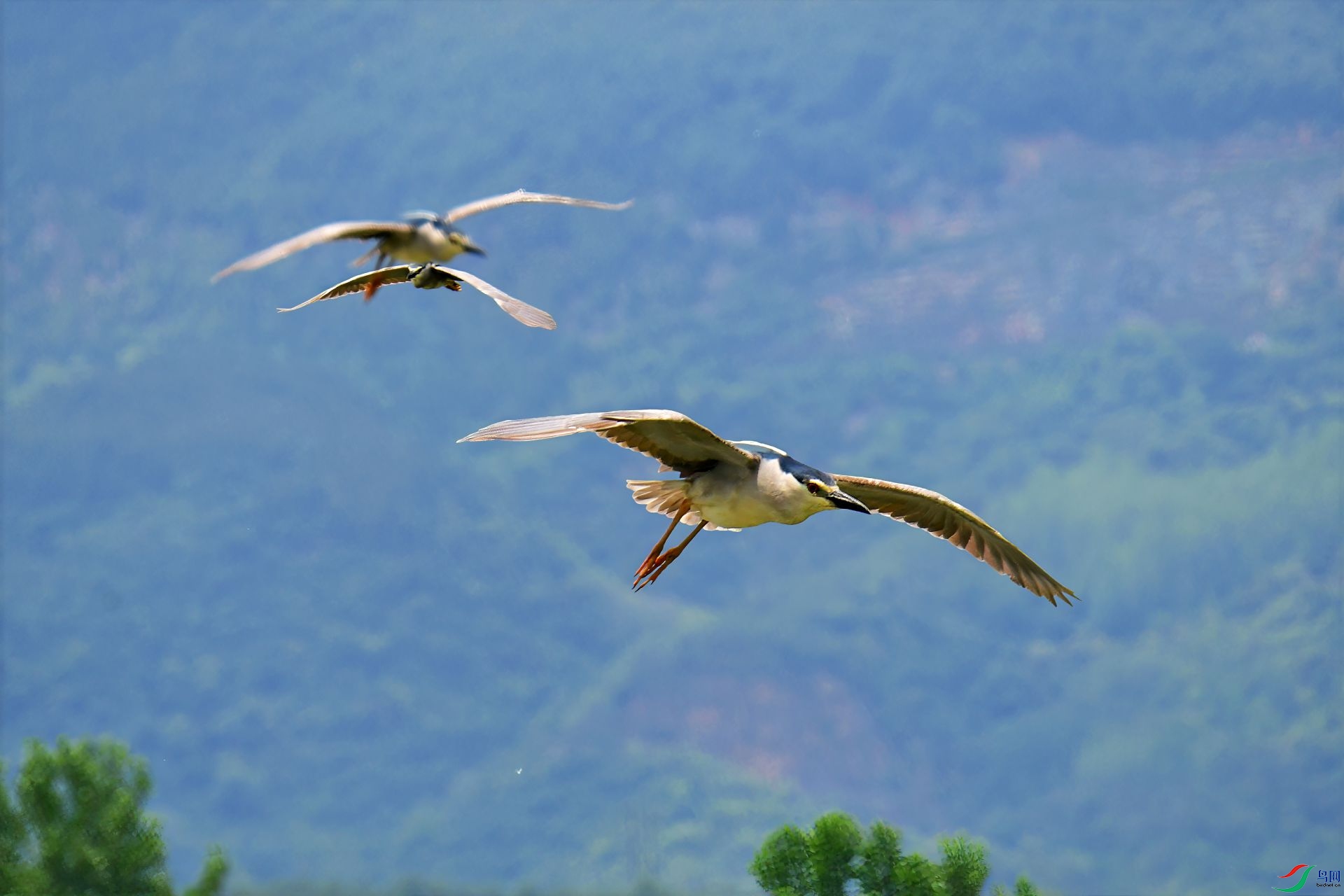 DSC_0477 he����-topaz-lighting-denoise-sharpen.jpg