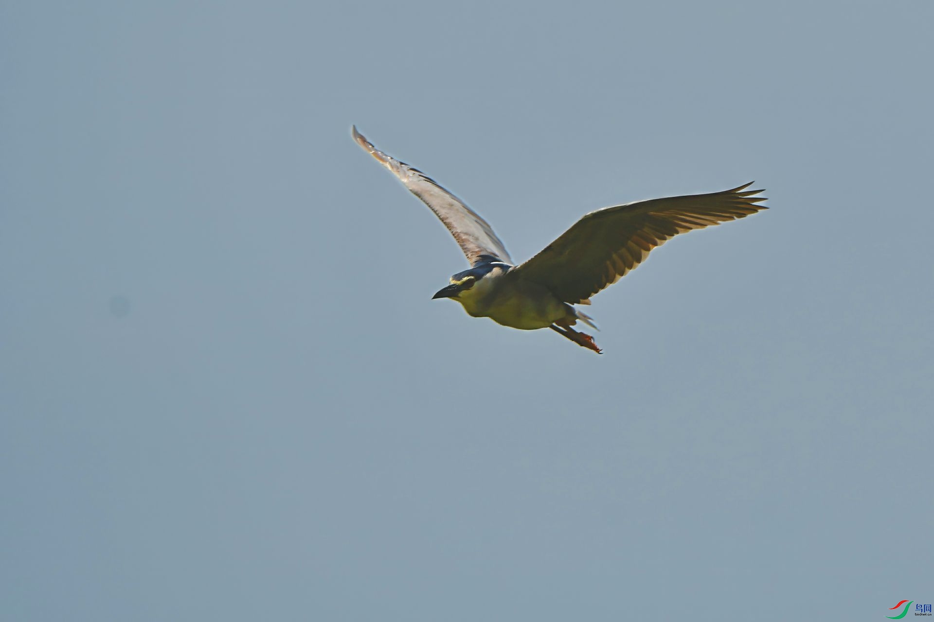 DSC_0468-topaz-lighting-denoise-sharpen ����.jpg