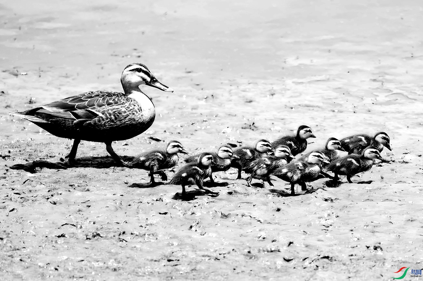 DSC_0056=.jpg