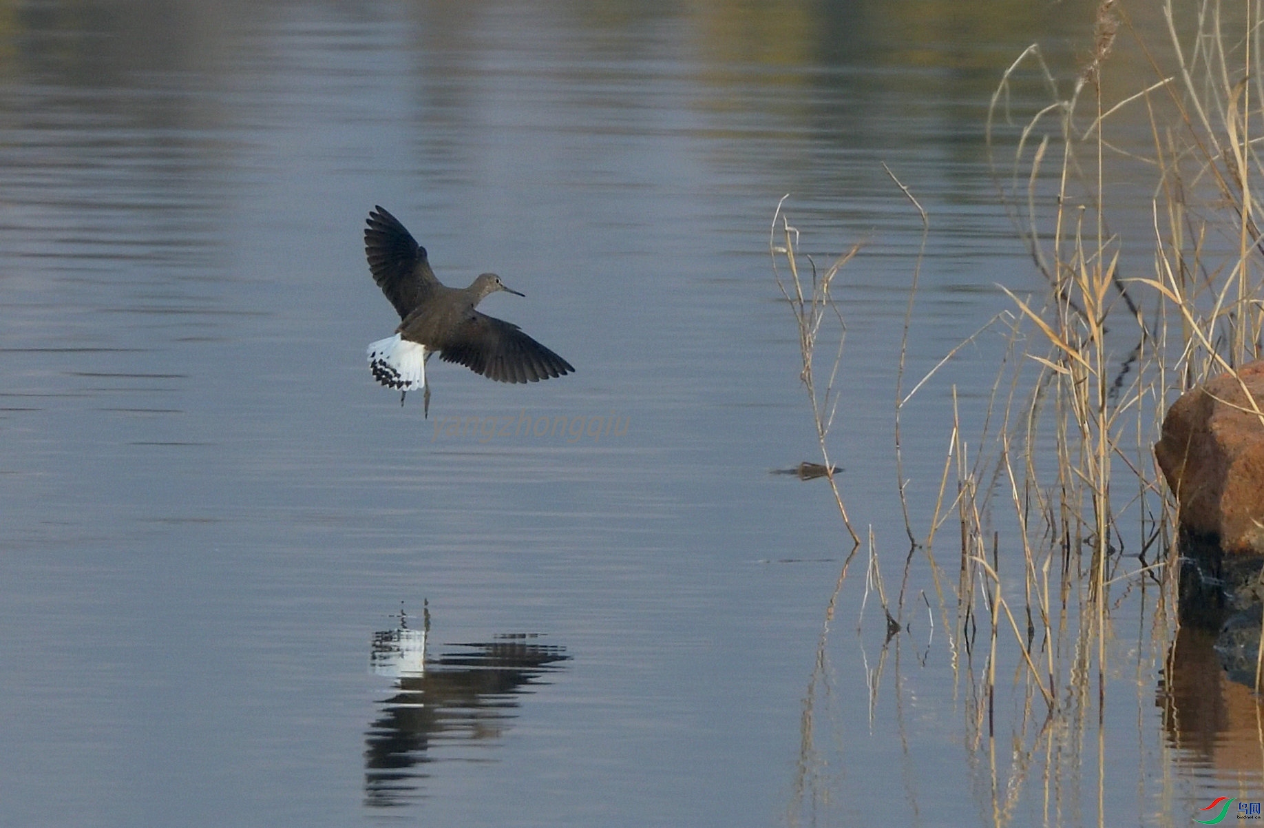 18 DSC_1236_.JPG