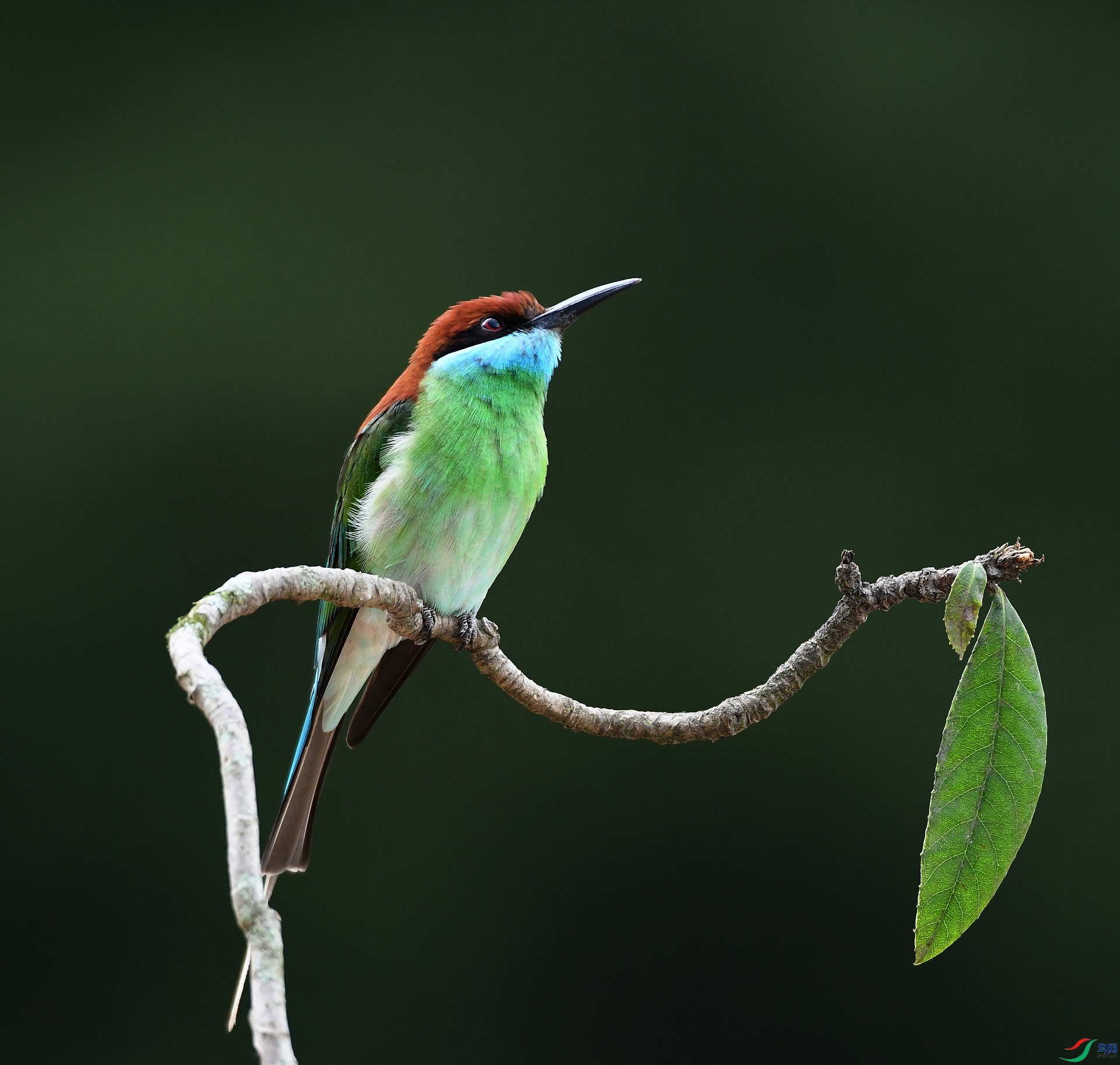 DSC_2213.jpg