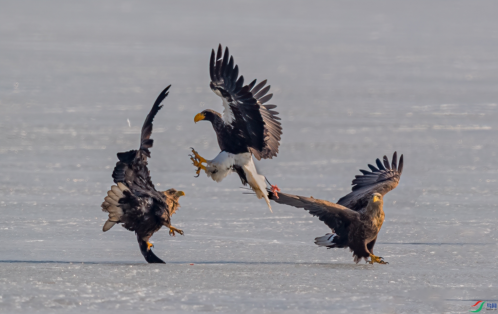 DSC_3716-11.jpg