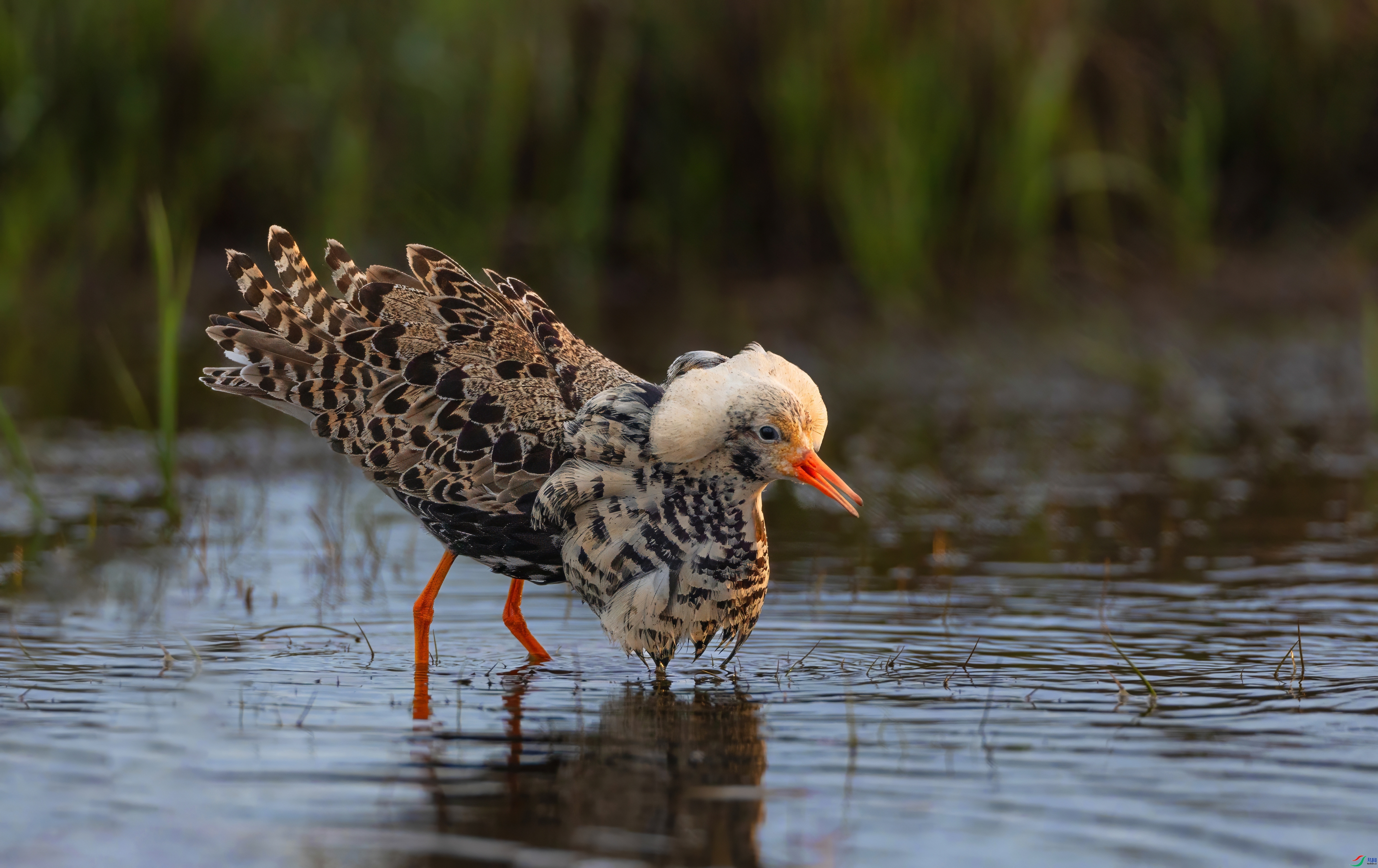 ÿ�ռ���  ������  ���� �ܷ� ����.jpeg