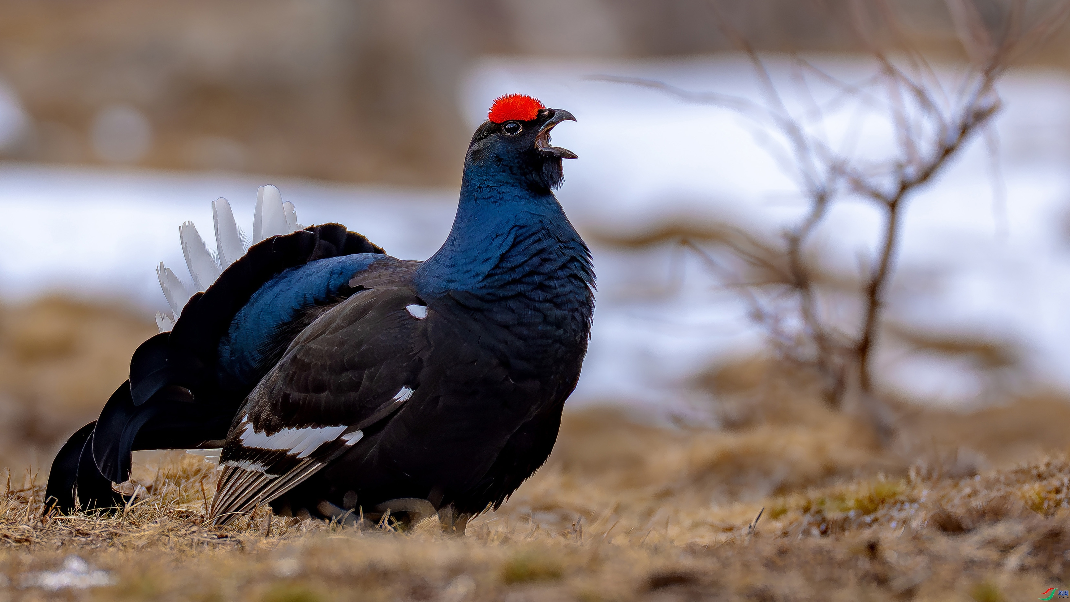 ��������  ���� ������ ��һ.jpg