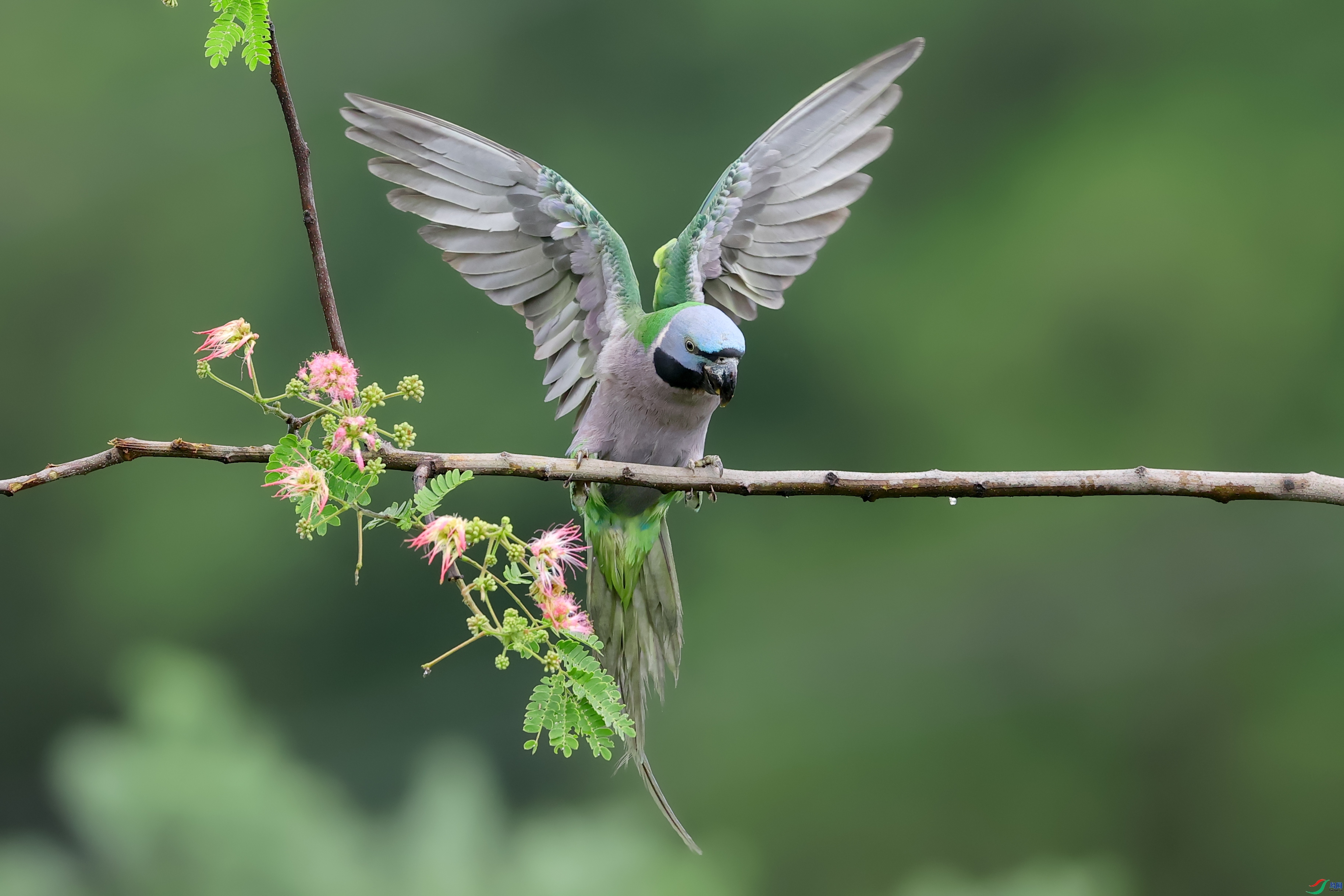 ����������-ƮȻ����  ���� ���� ��һ.jpg