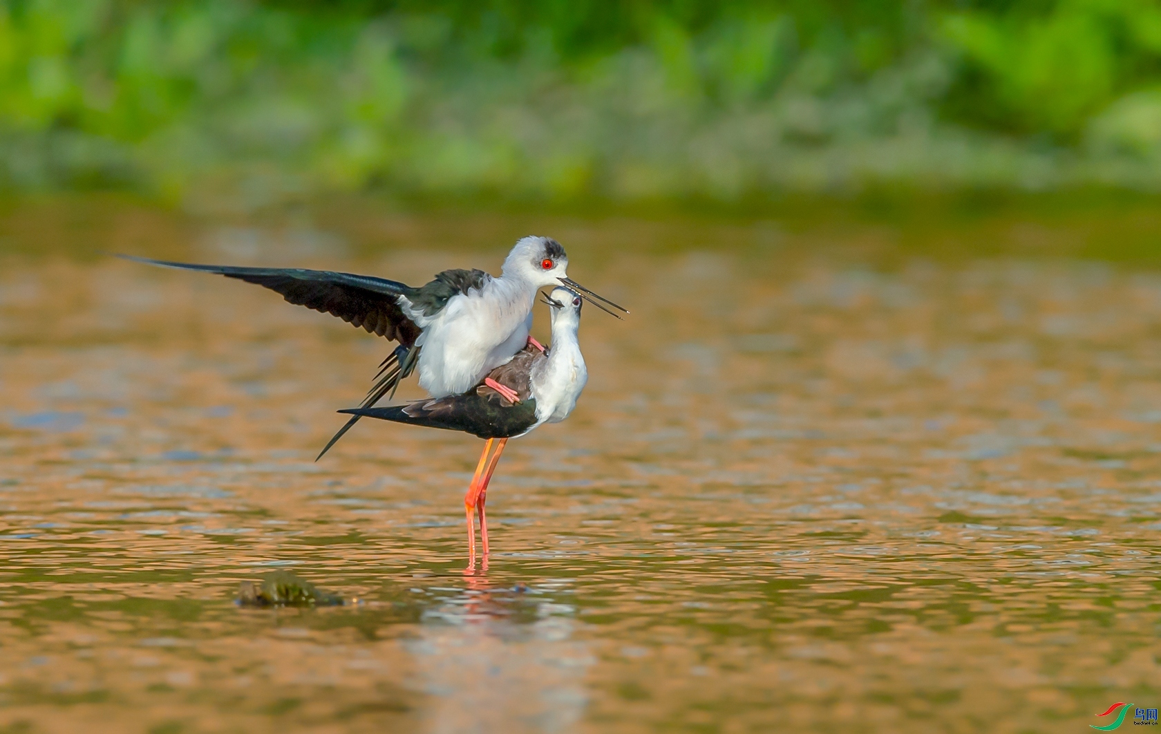 ����  ���� ���� ��һ.jpg