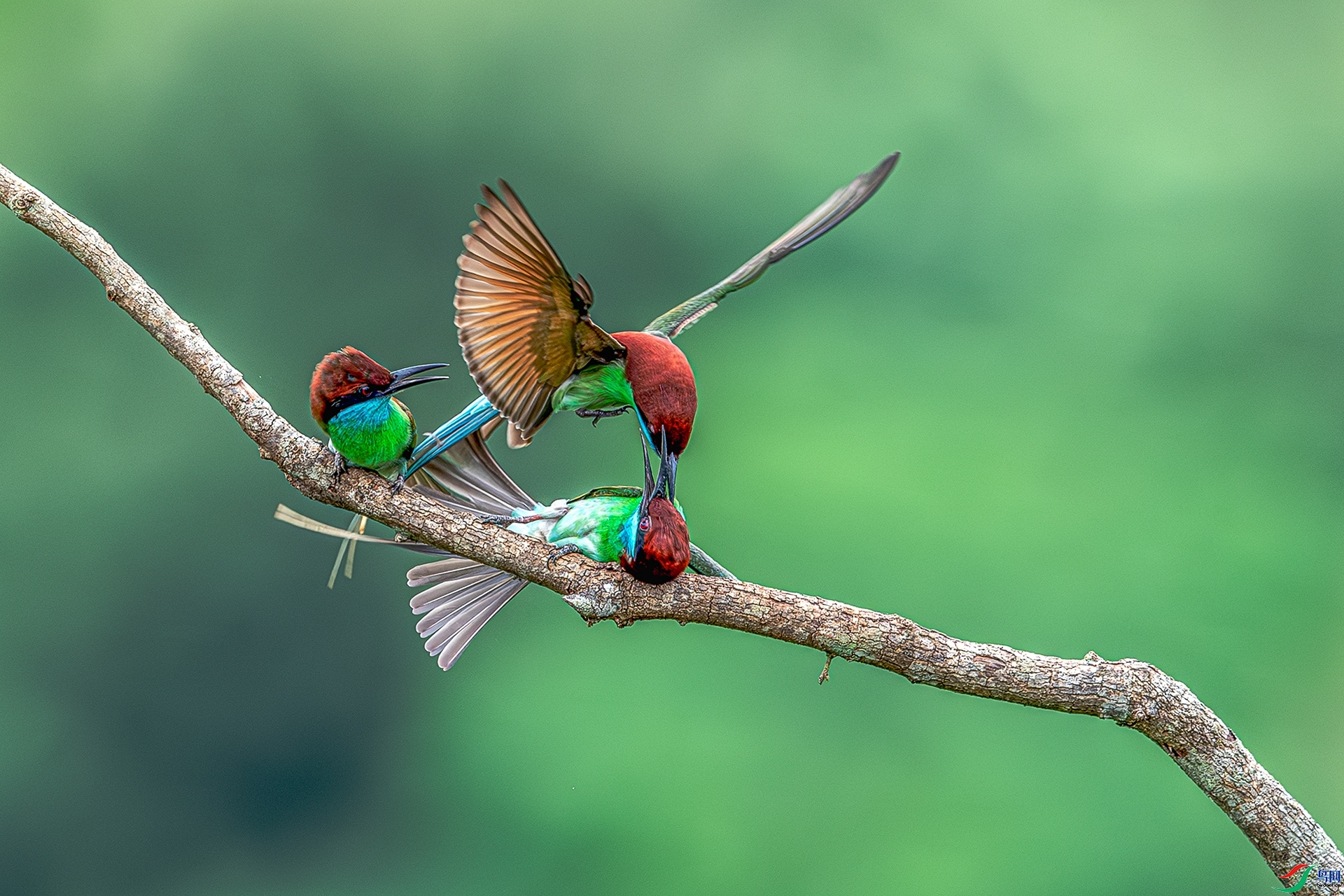 �ͽ�  ���� ����ǿ ��һ.jpg