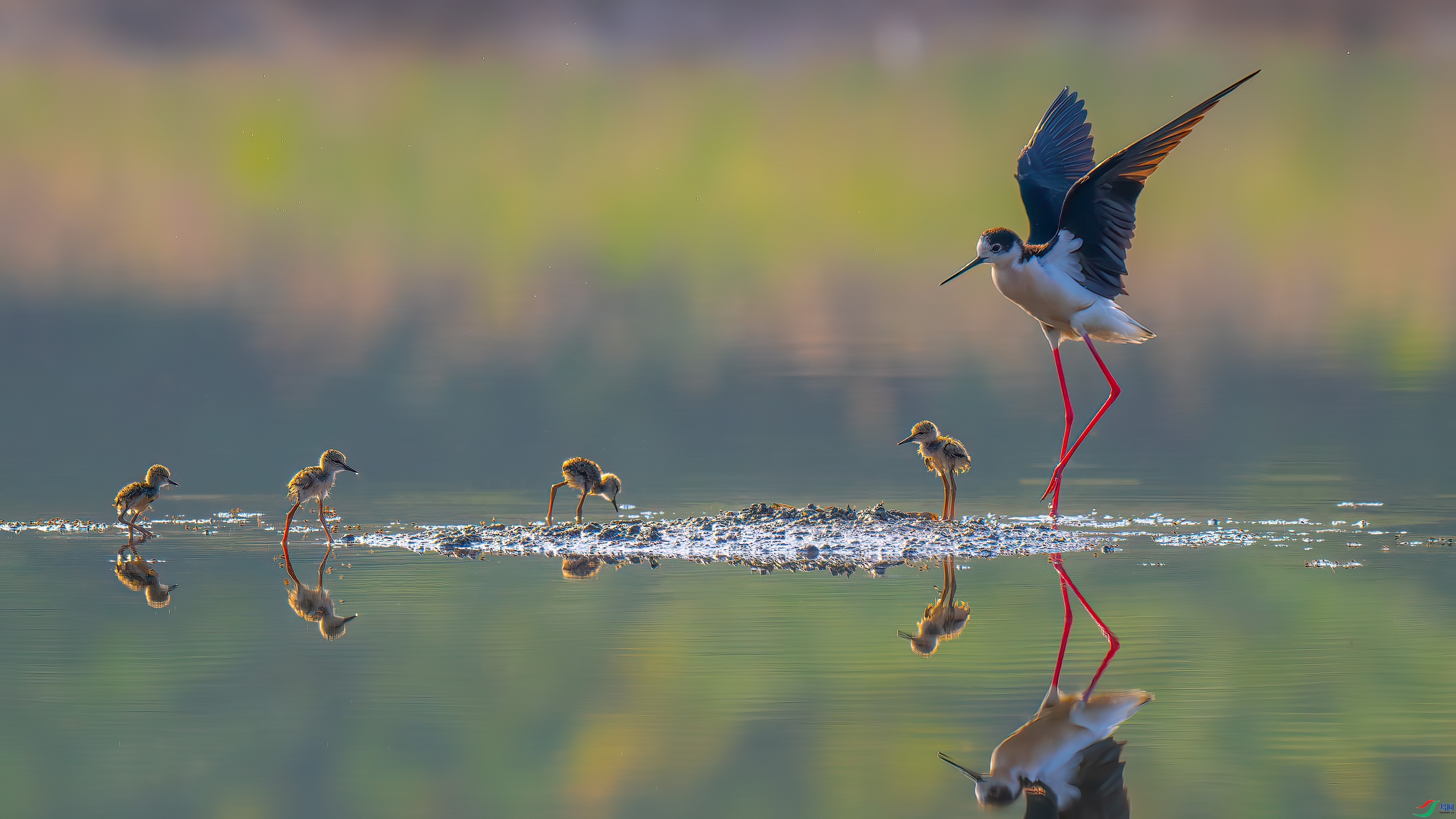 ��������  ���� ��ѧ�� �ܶ�.jpg