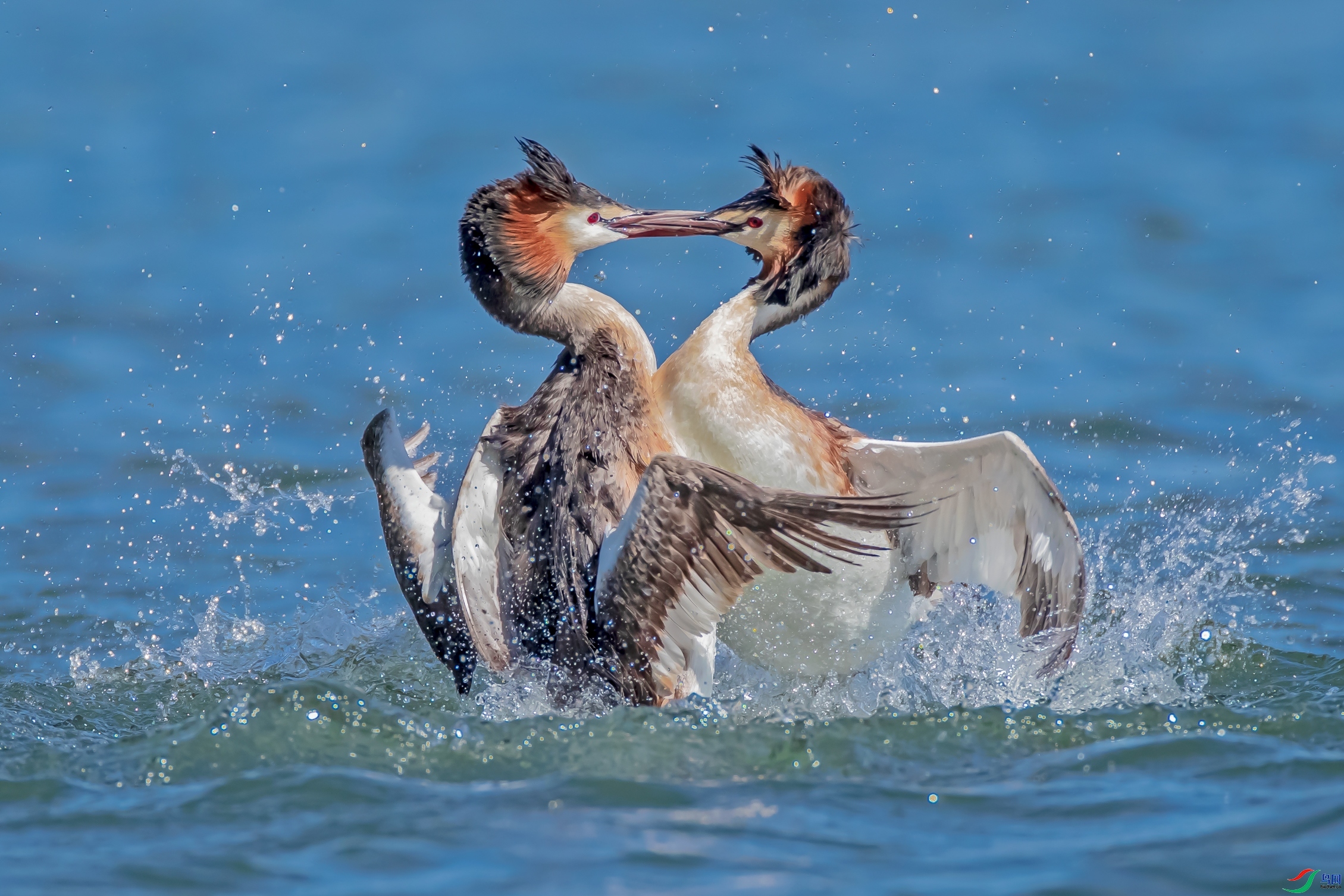 ����ĶԾ�  ���� ͬ������  �ܶ�.jpg