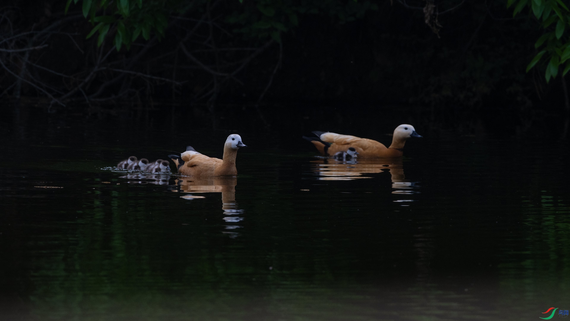 _DSC7240-1x10.jpg