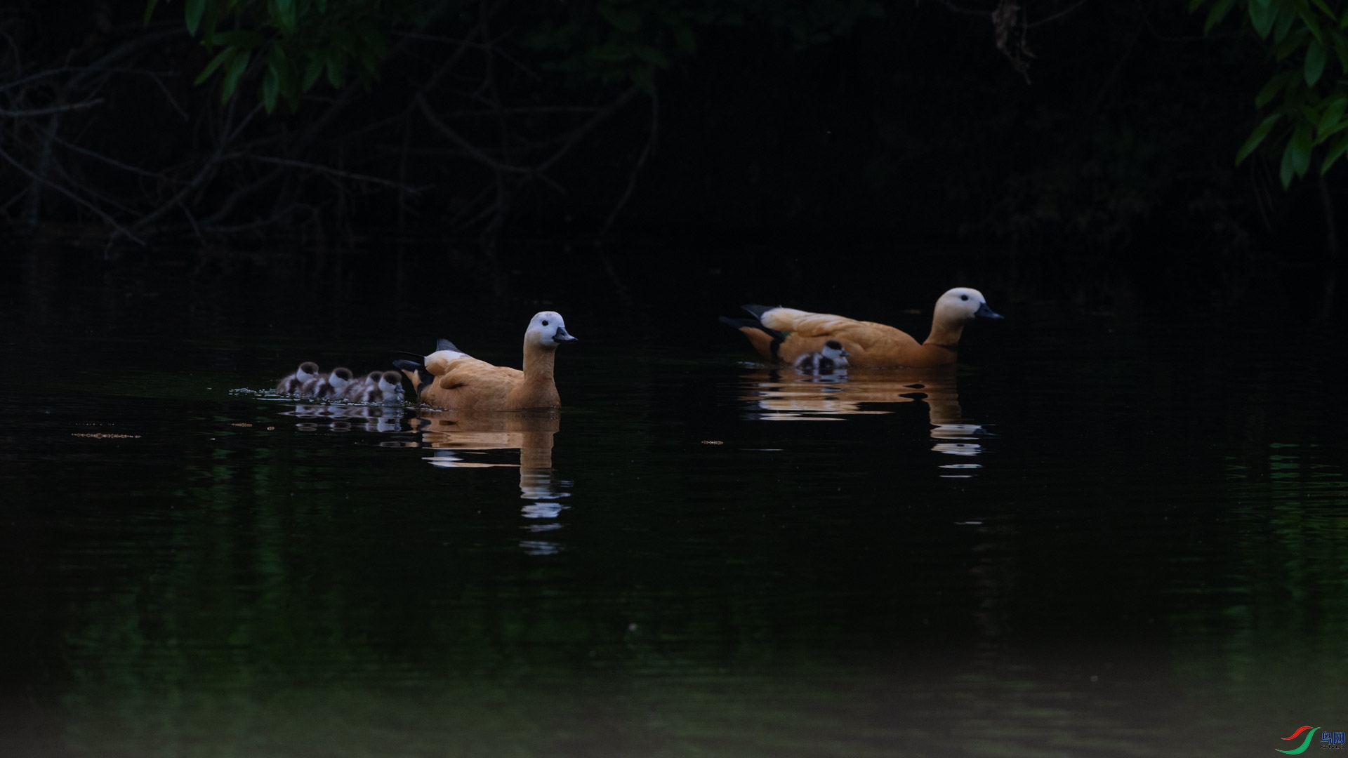_DSC7241-1x11.jpg