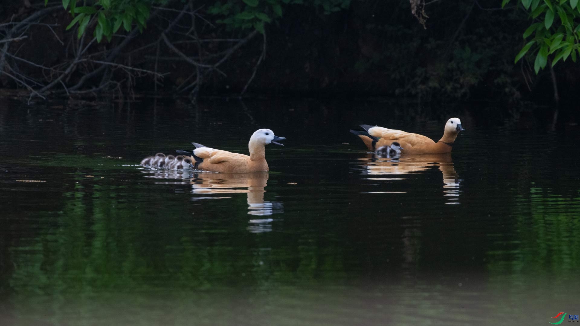 _DSC7244-1x14.jpg