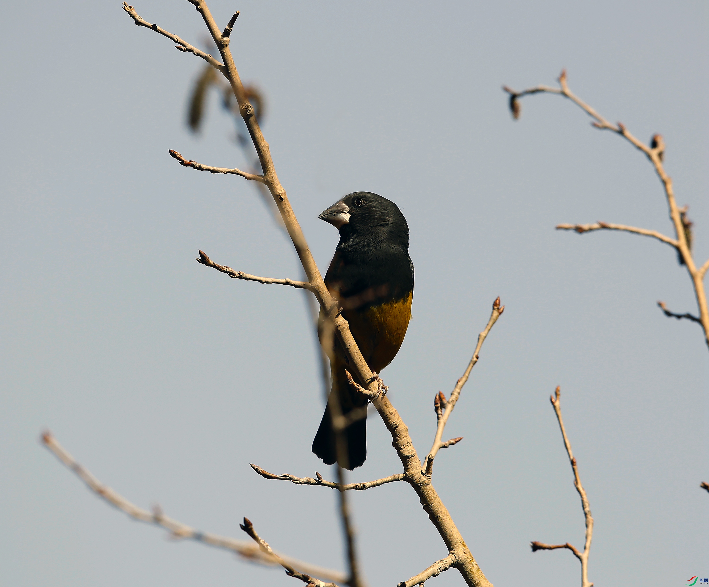 ����ȸ2 ����4444.jpg