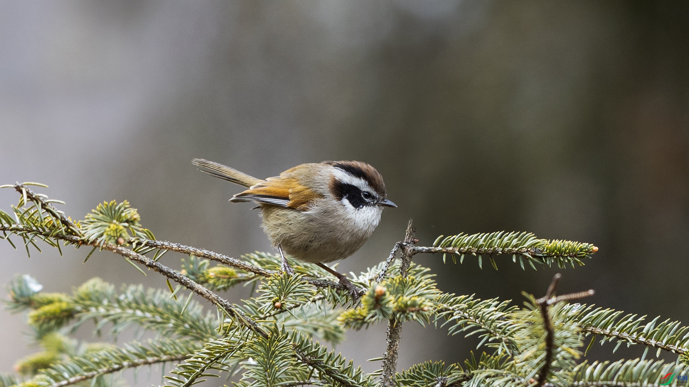 _O7A2772 ����.jpg