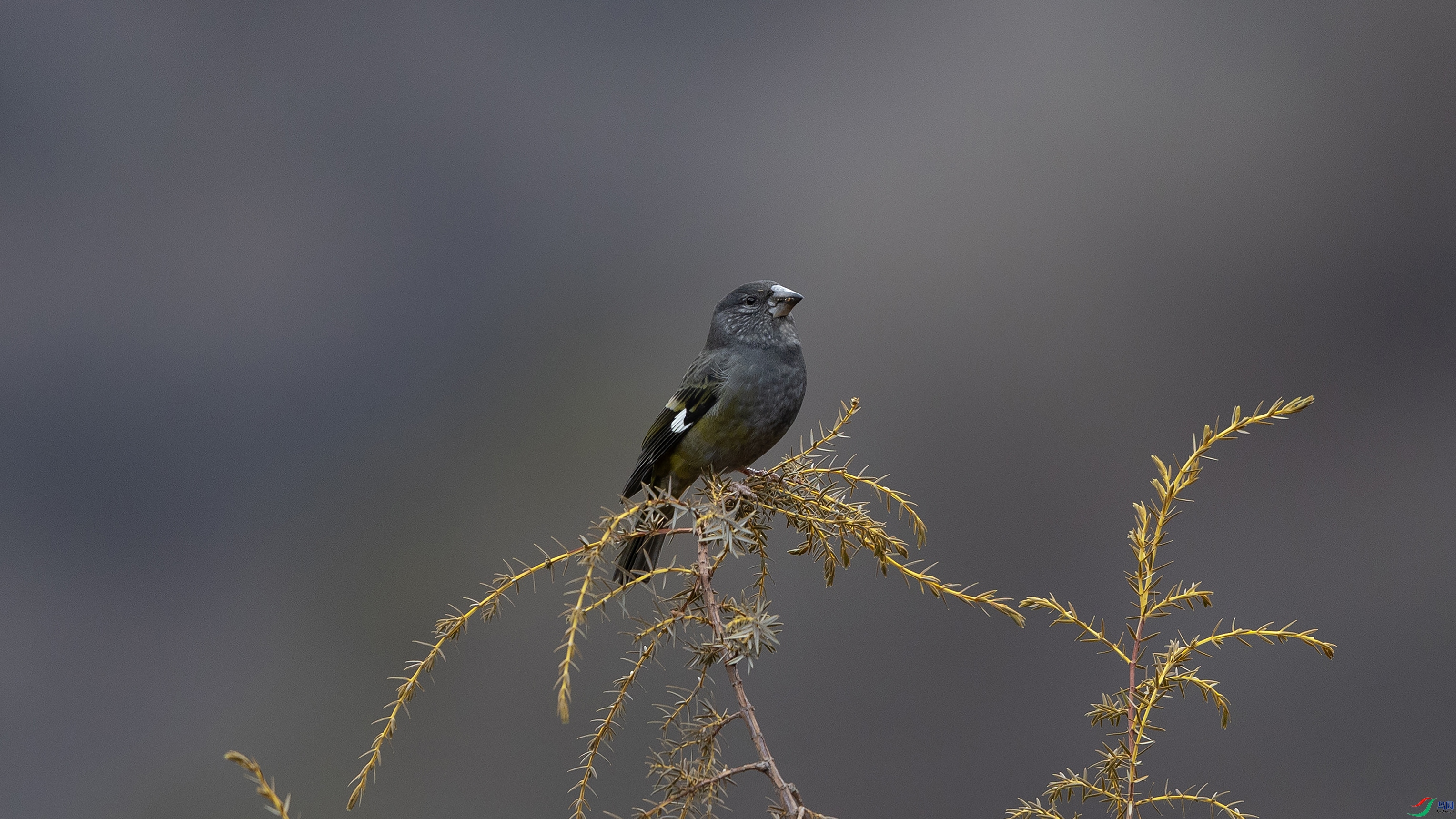 _O7A3021 ����4444.jpg