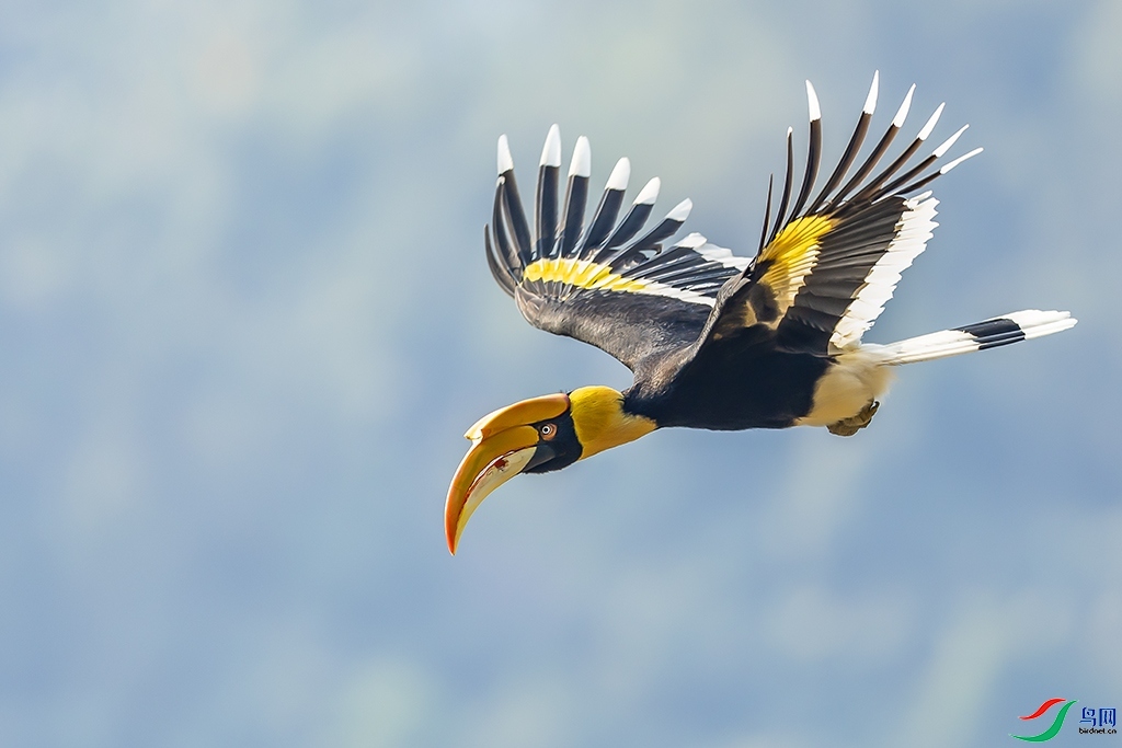 ����  ���� ���ַ� ����.jpg