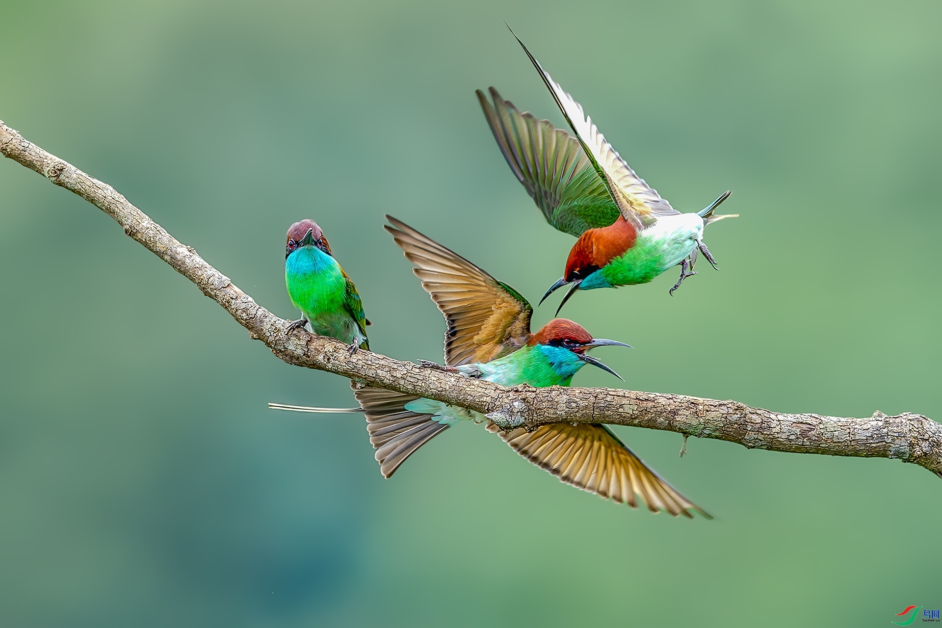 ���鱻��  ���� ����ǿ ����.jpg