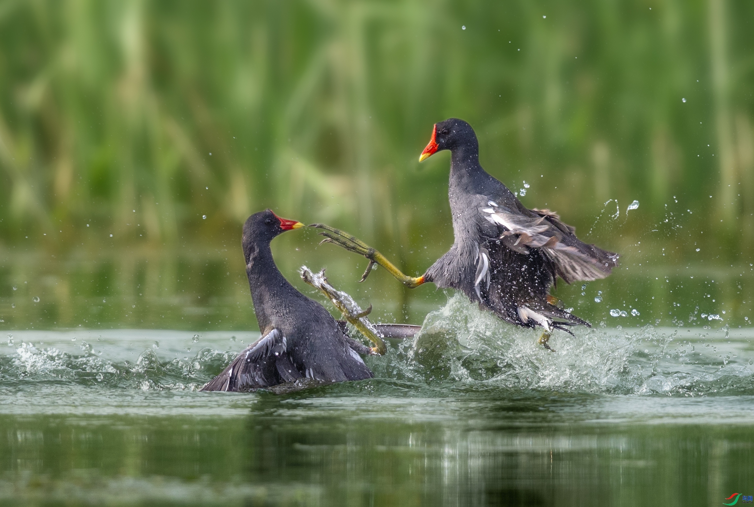 ��ˮ��-����ս ���� һ·���� ����.jpg