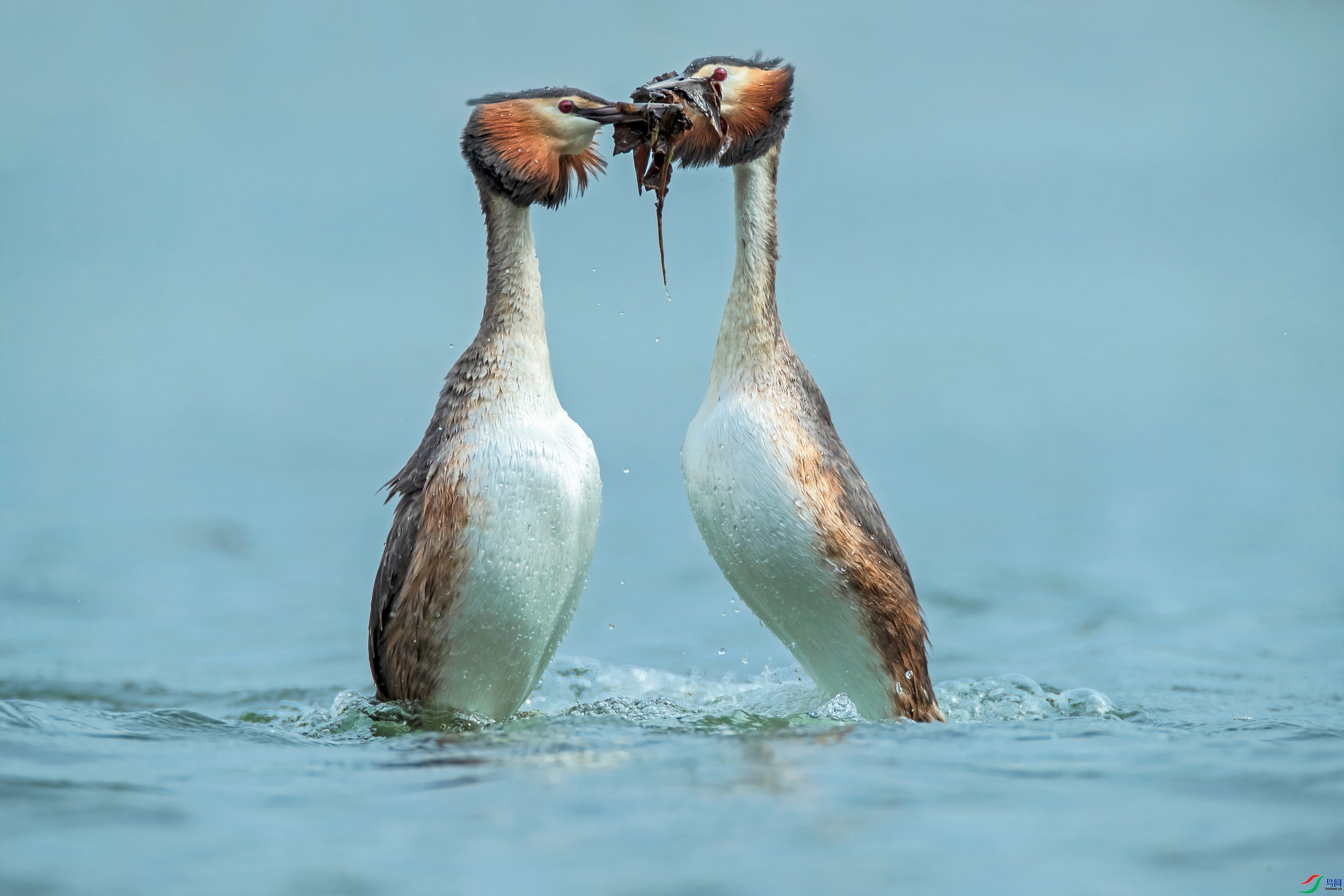 ����ɽ��  ���� ͬ������ ����.jpg