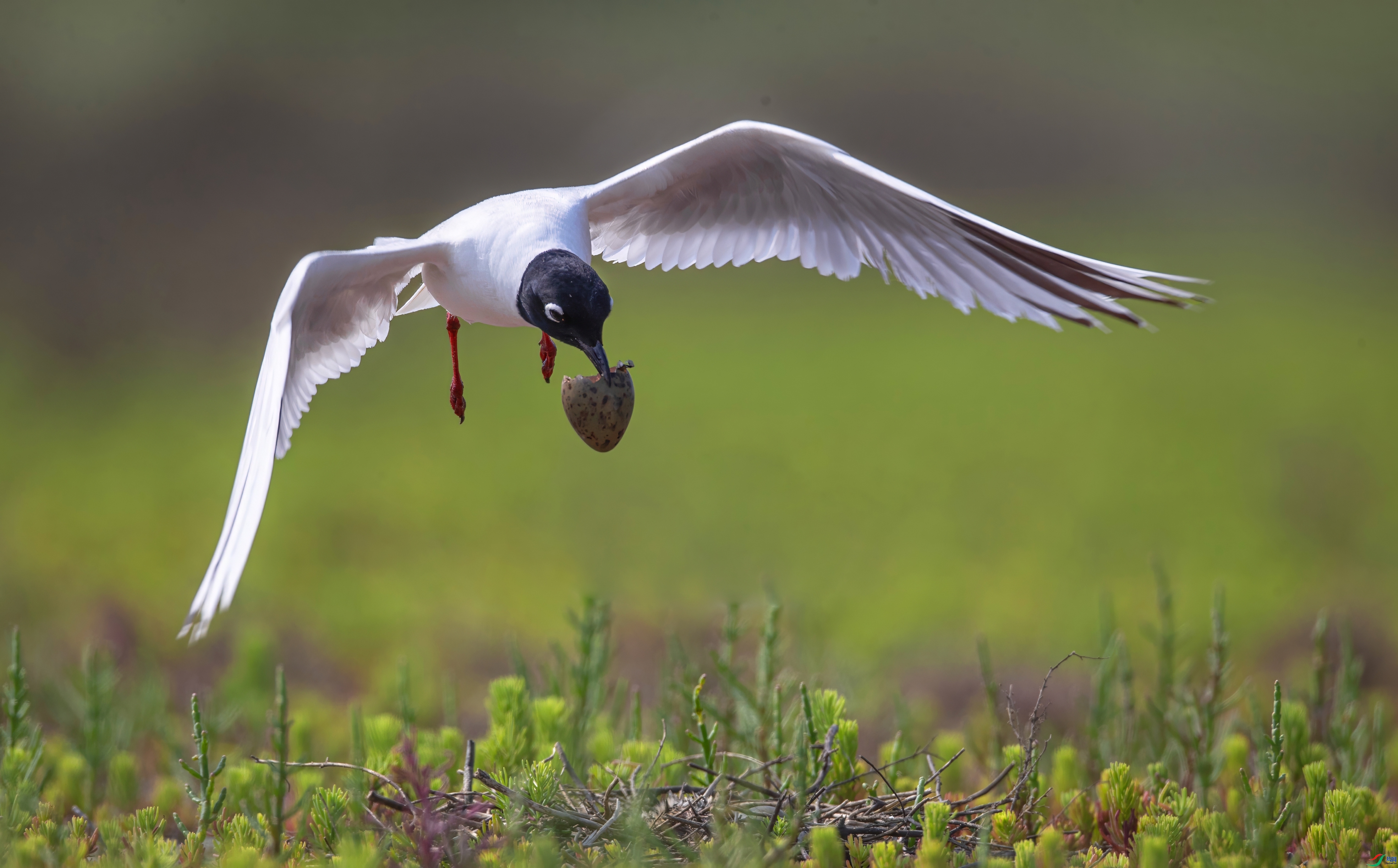 ����Ÿ  ���� �ܷ� ����.jpeg