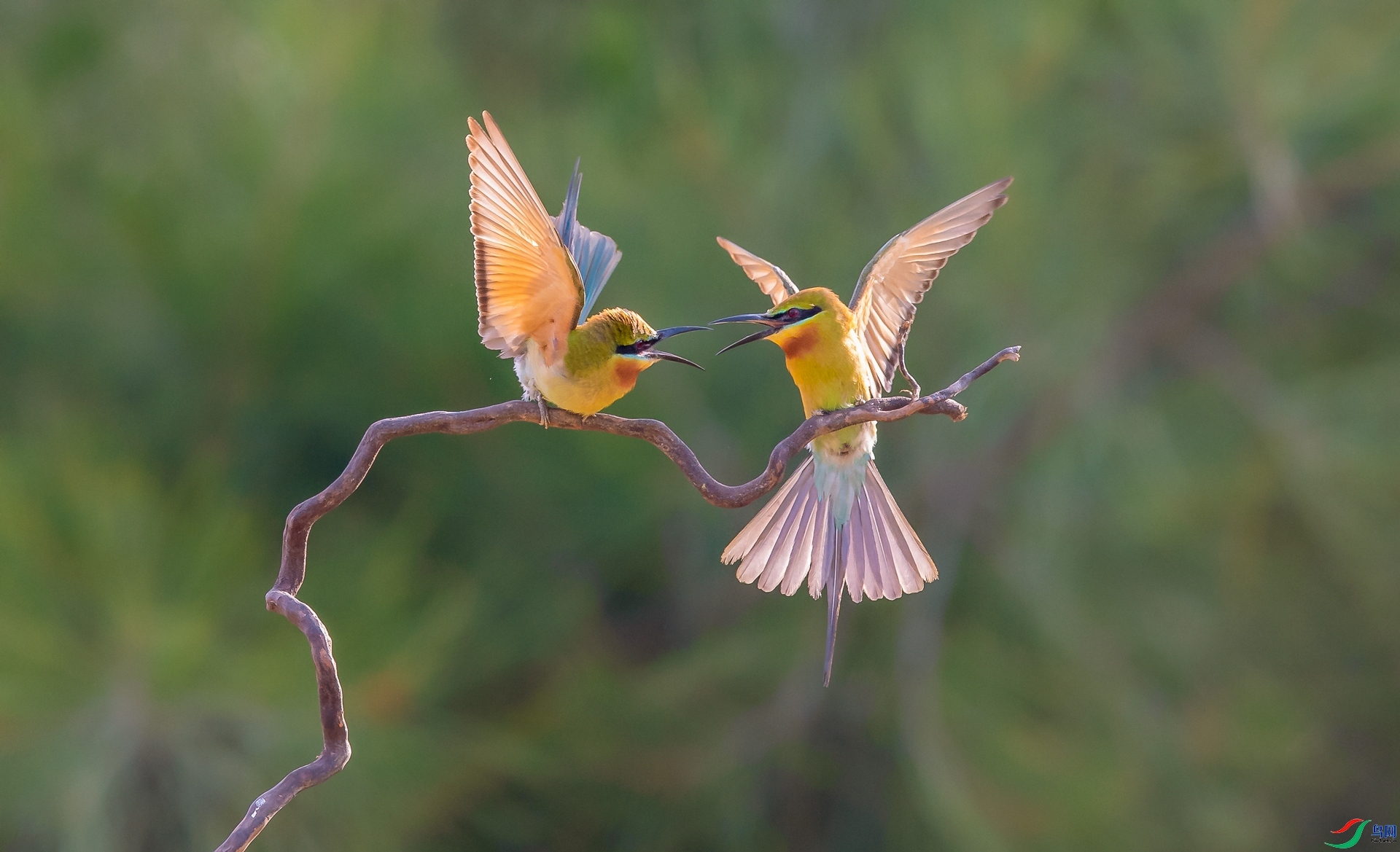 ����  ���� ���� ����.jpg