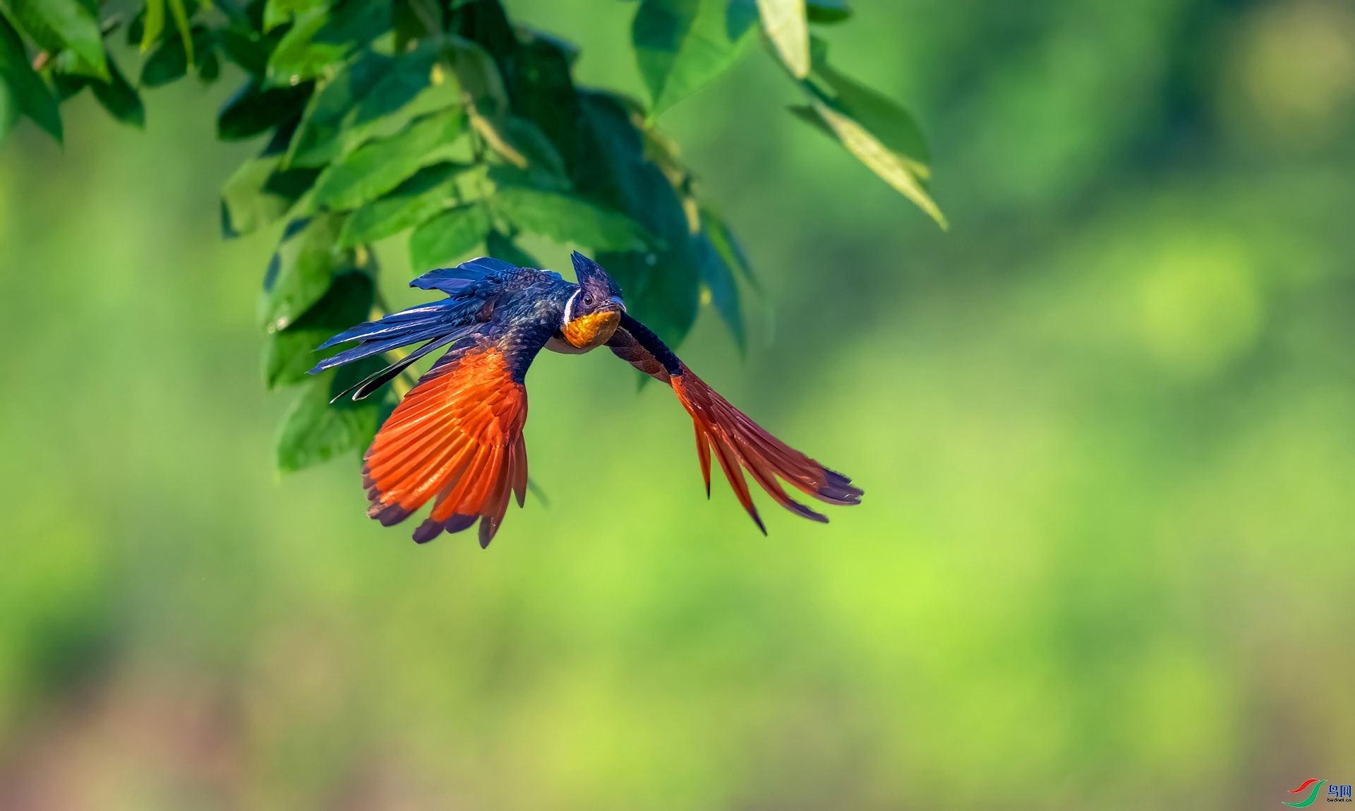 ����ͷ��  ���� ����ʽ ����.jpg