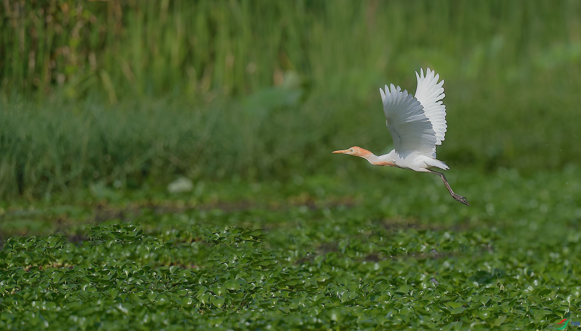 B43I8267-SharpenAI-Motion.jpg