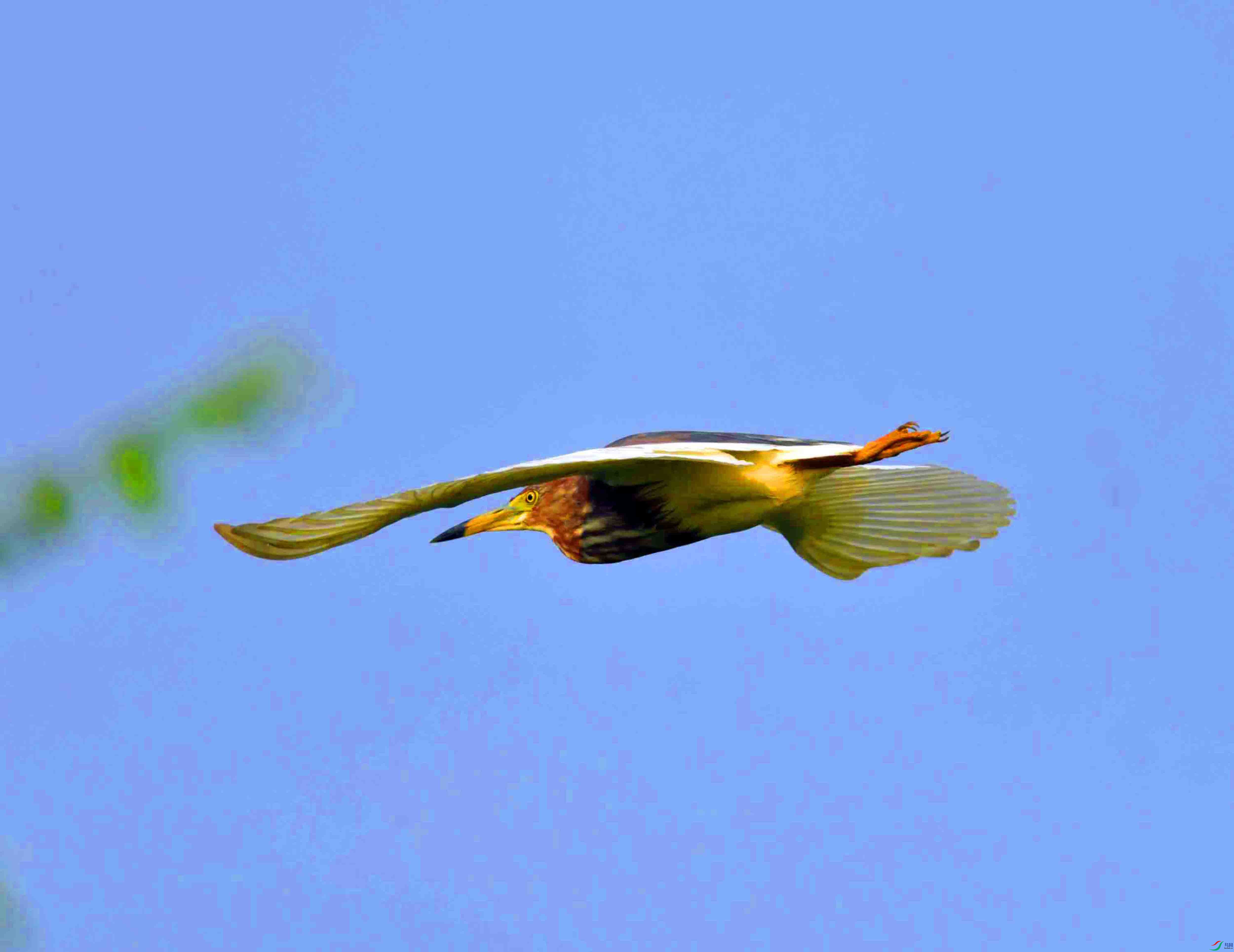 DSC_7388.JPG