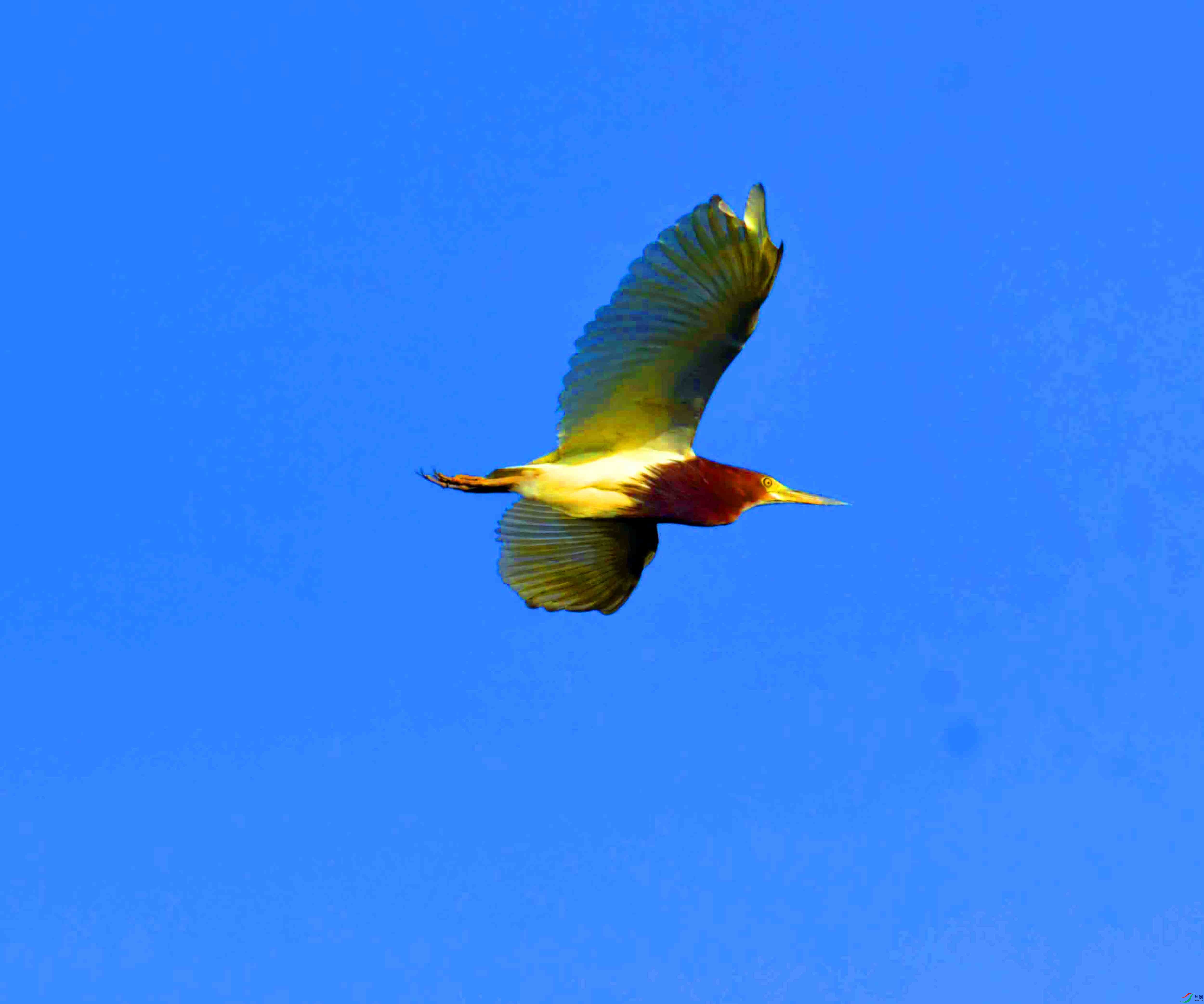 DSC_7127.JPG