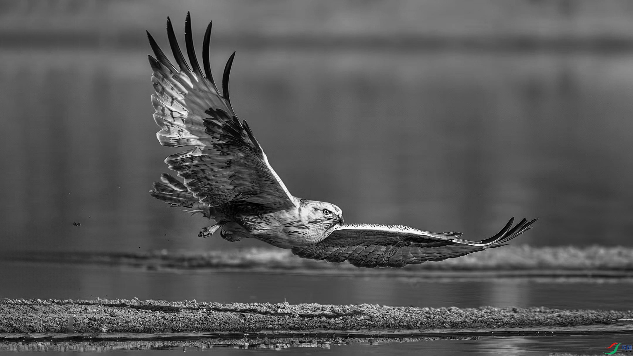 DSC_8249-20241227�� .jpg