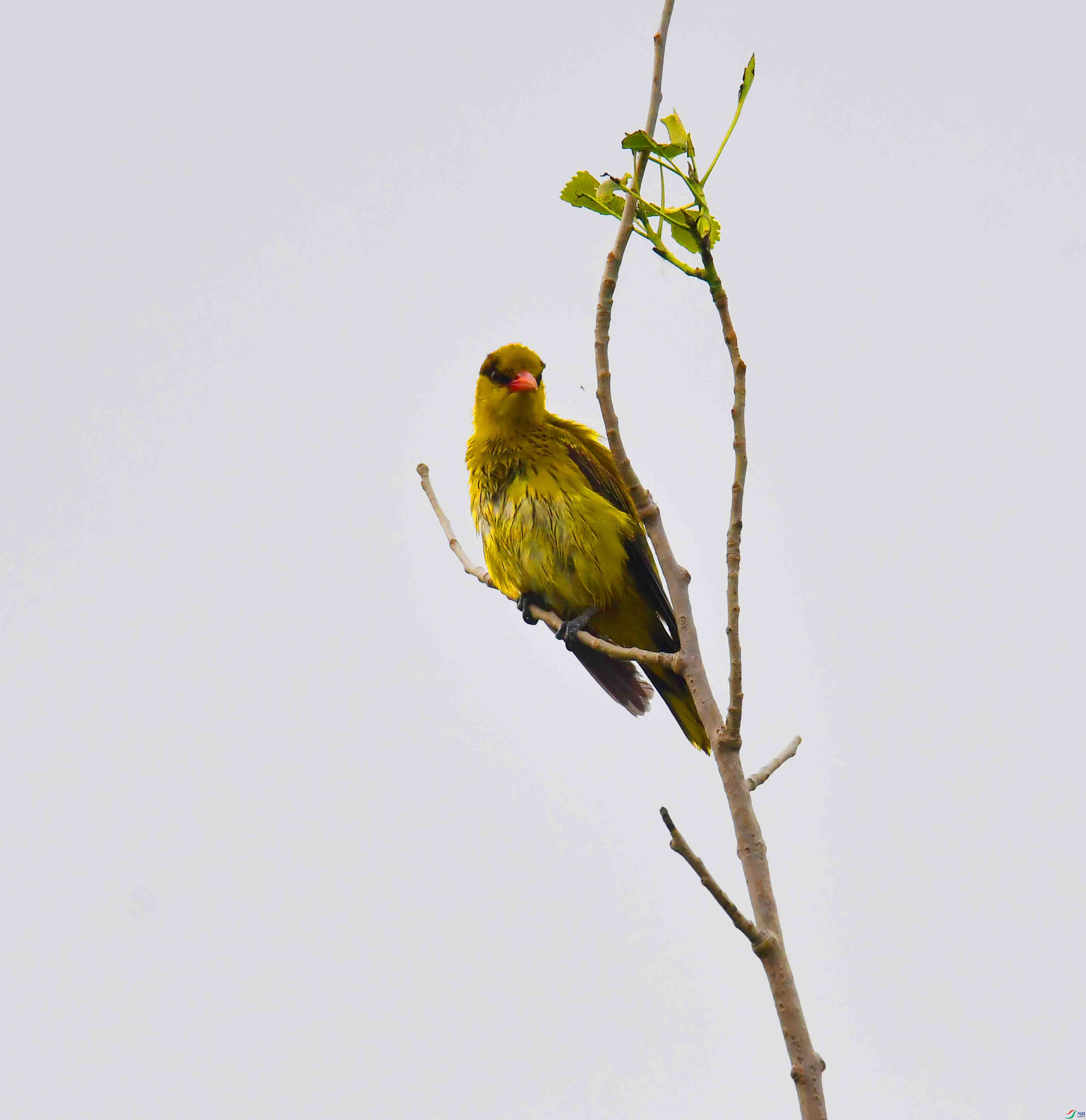 DSC_7876.JPG