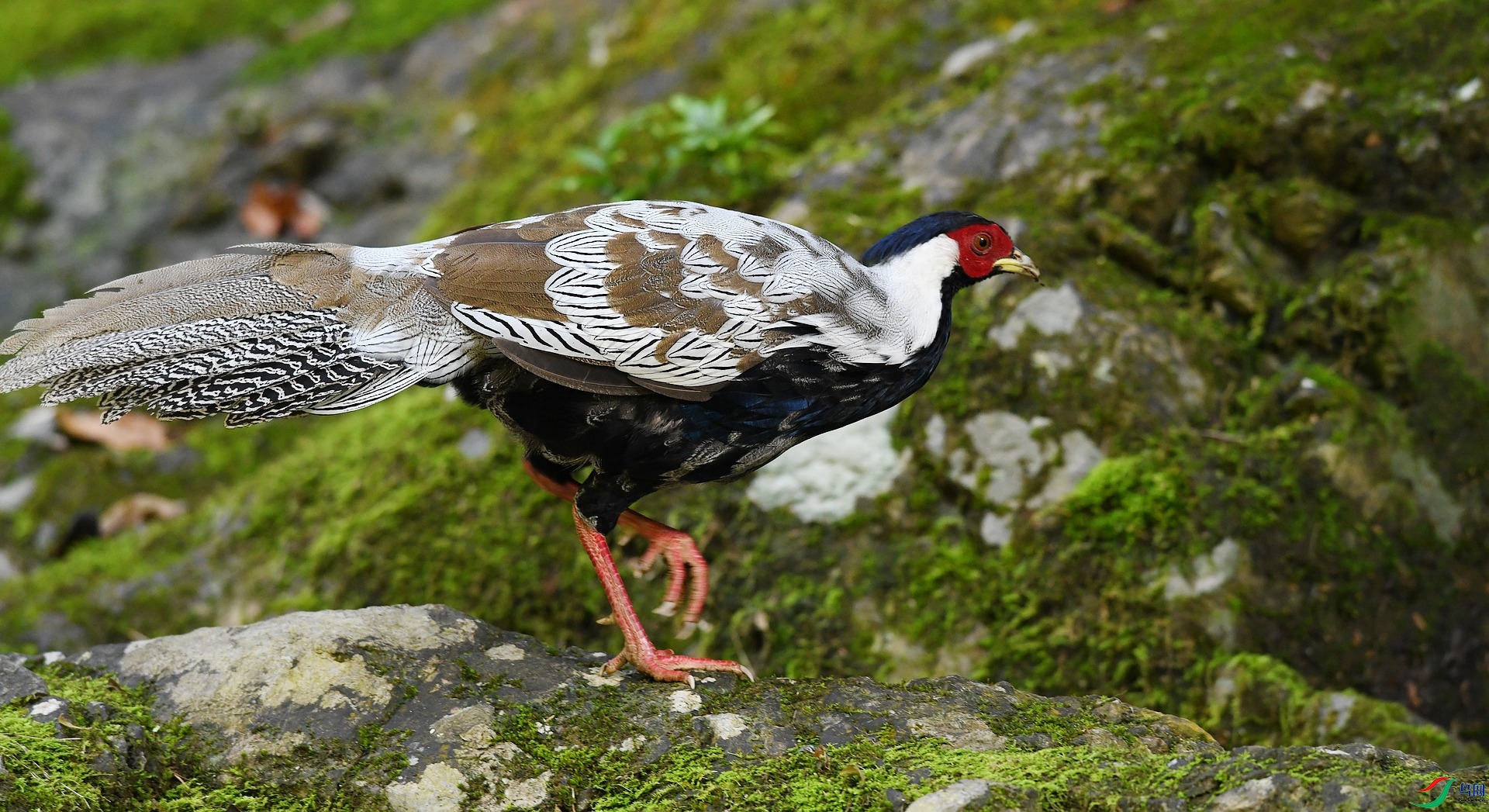 DSC_6361.jpg