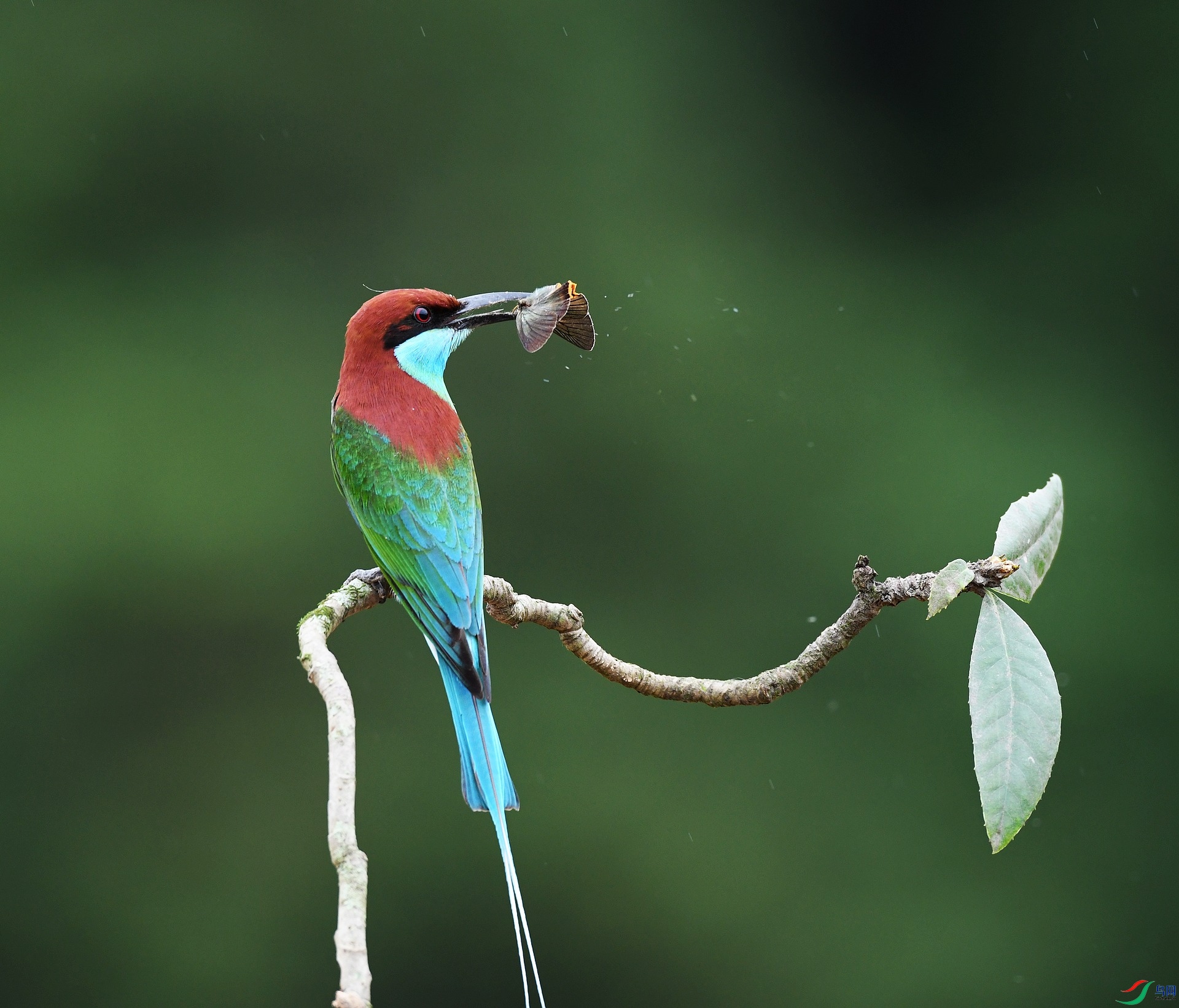 DSC_7048.jpg