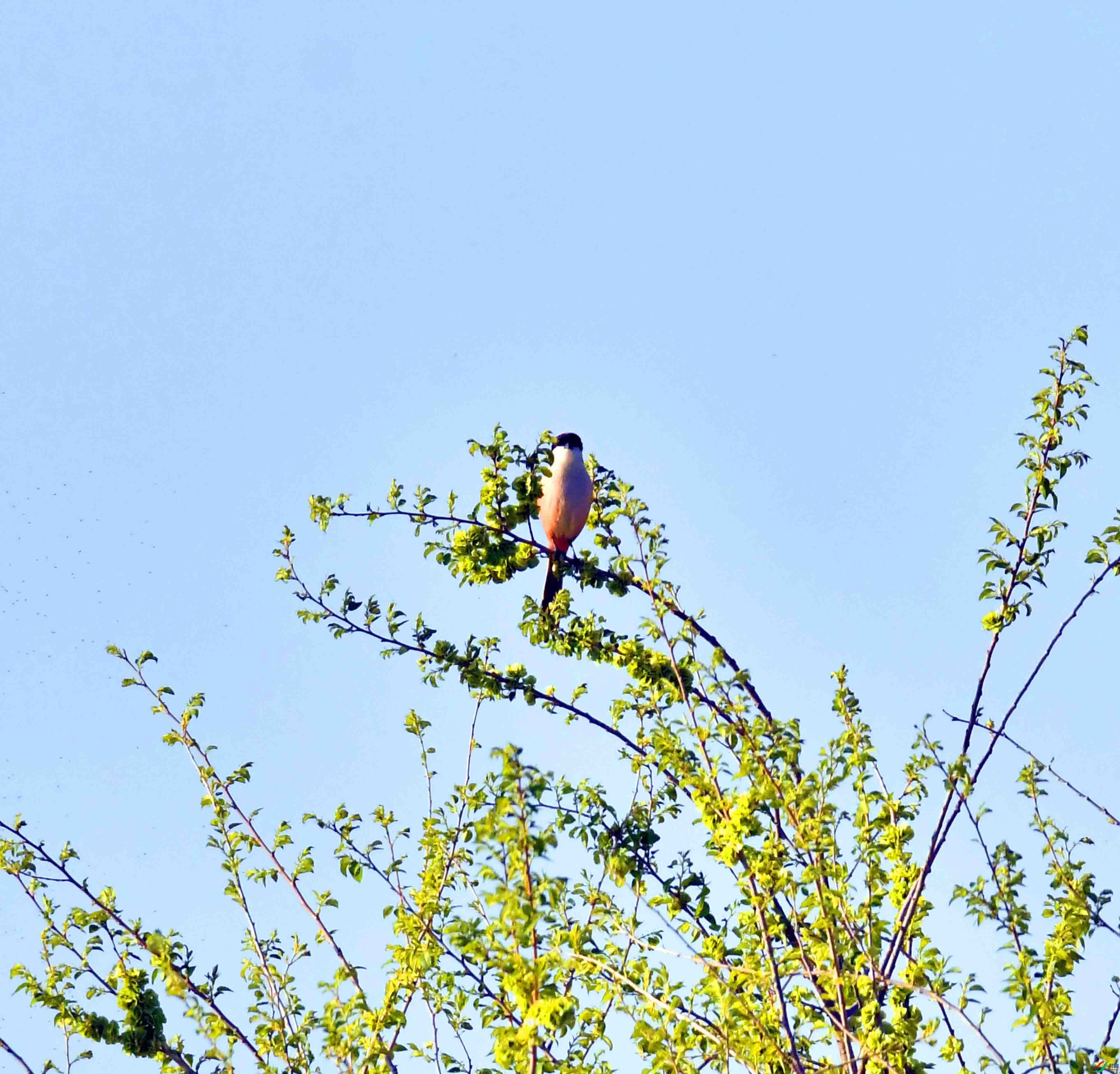 DSC_0641.JPG