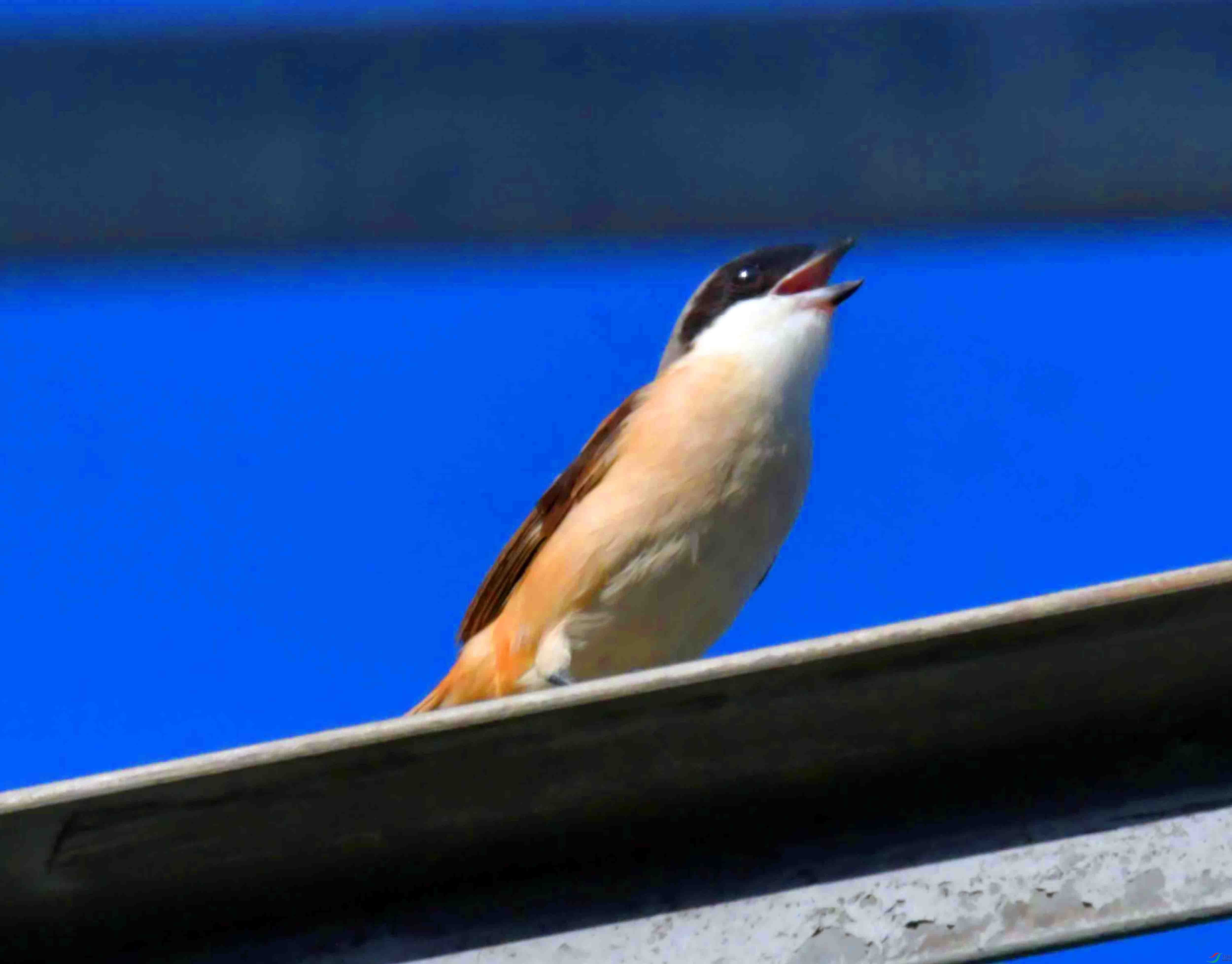 DSC_4691.JPG