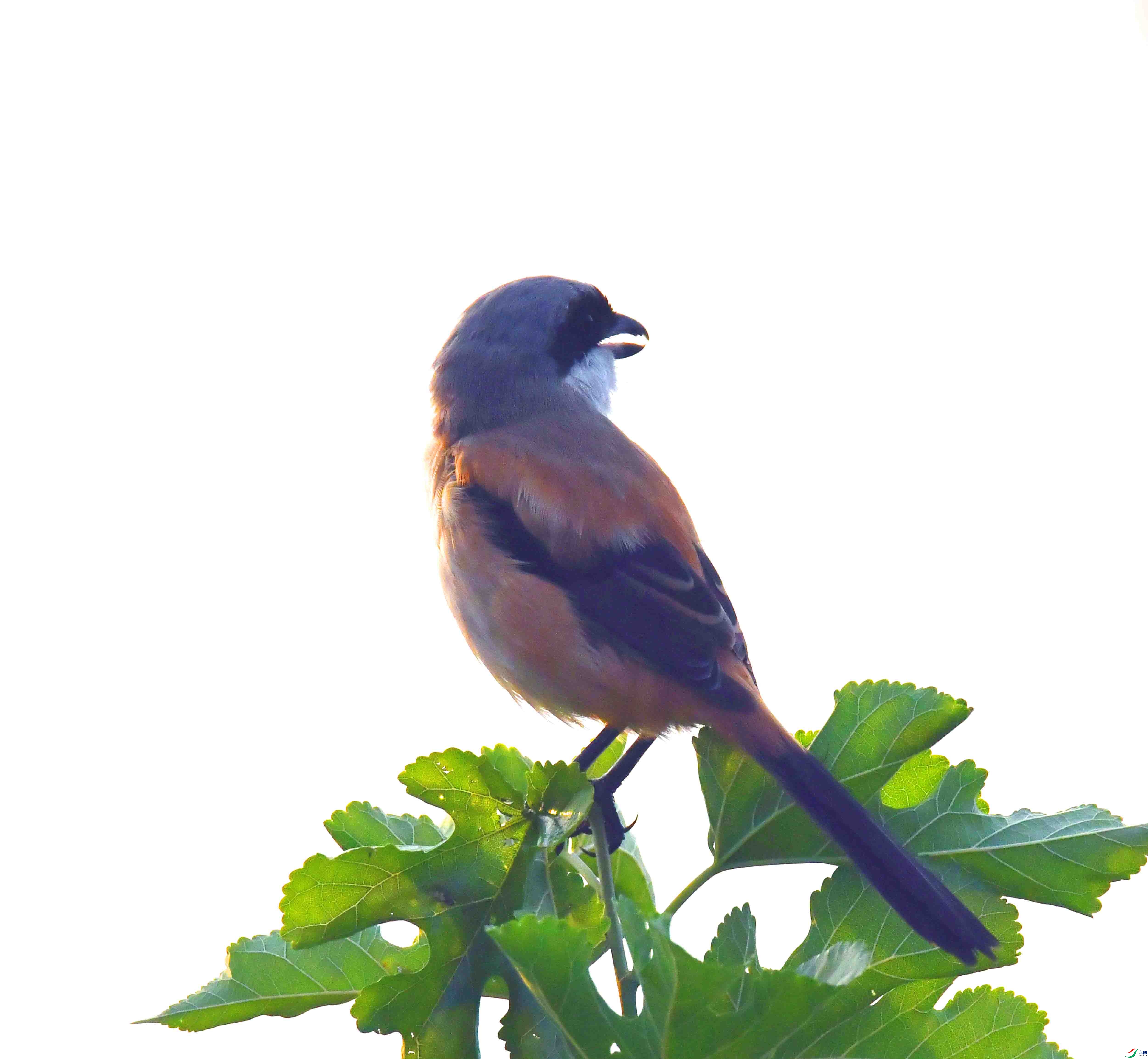 DSC_8815.JPG