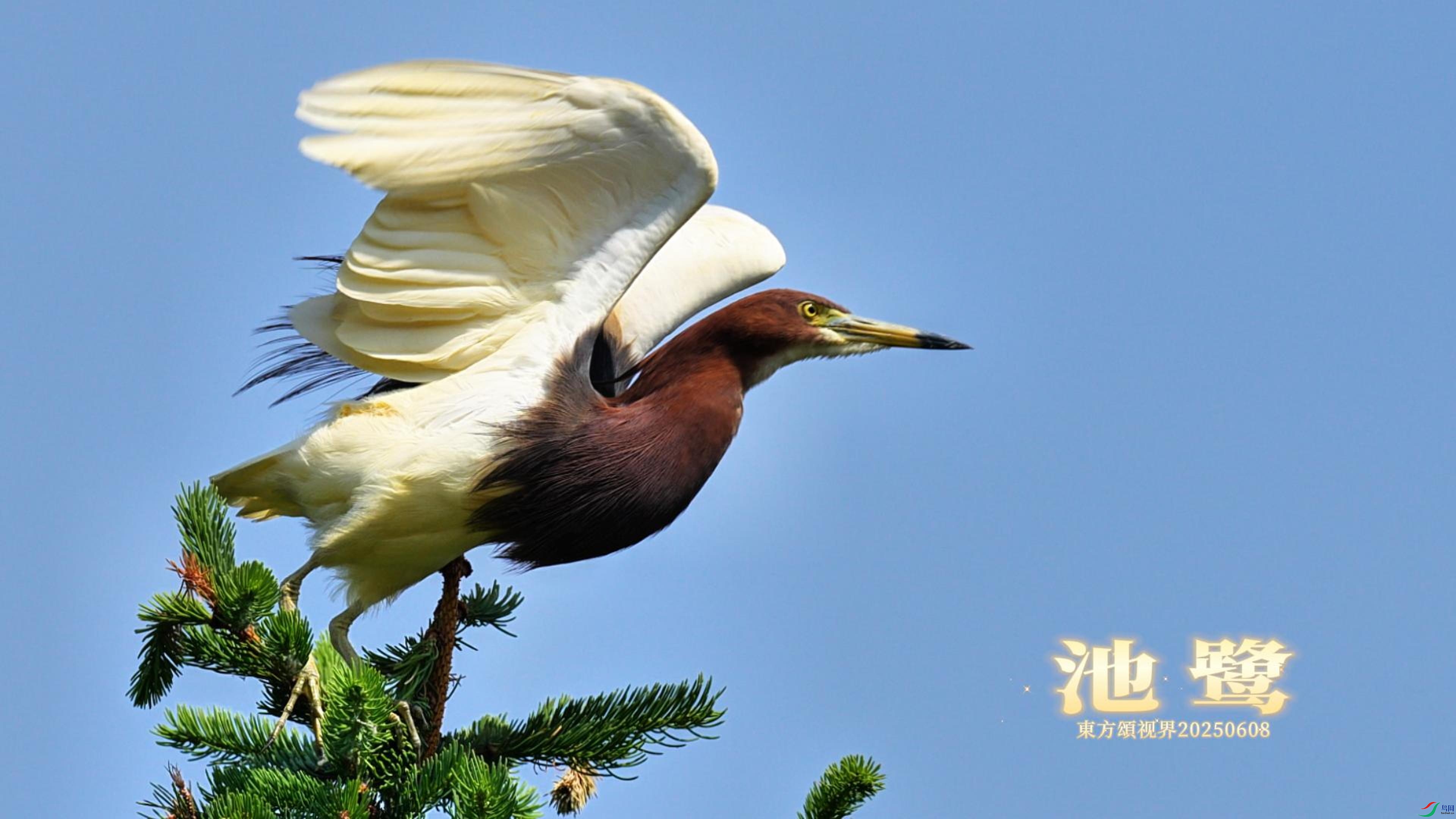 6��12�� ����2-����.jpg